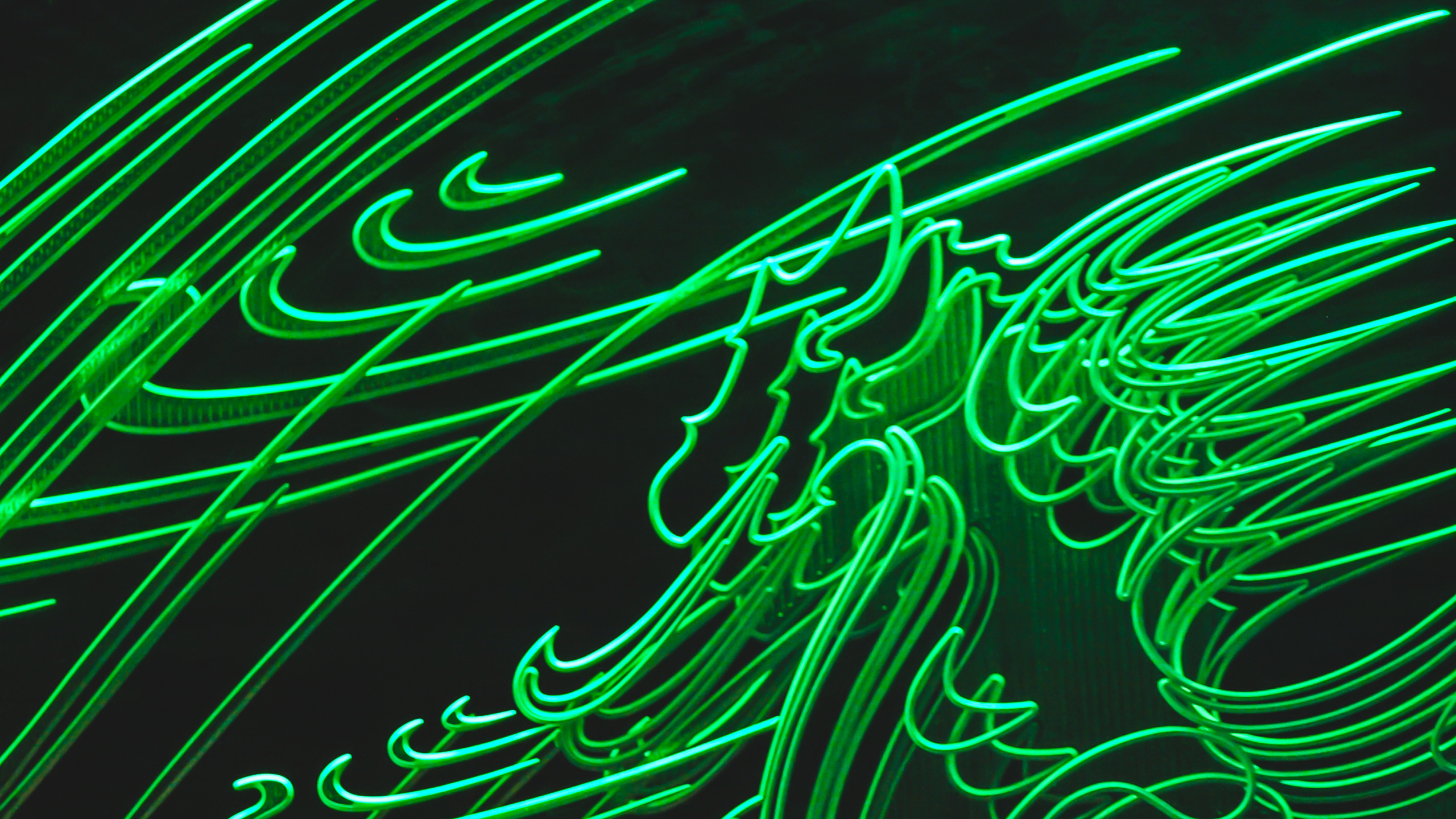 Обои неон, зеленый, линия, узор, дизайн в разрешении 2560x1440