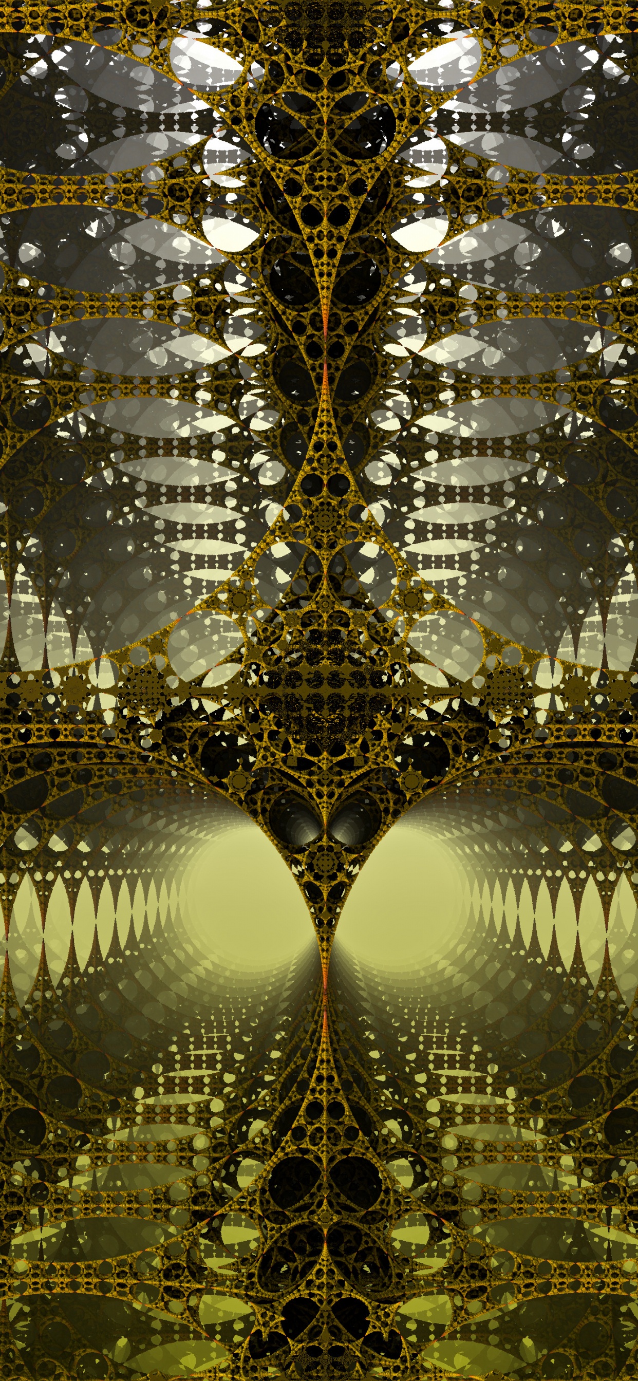 Обои солнечный свет, растение, лес, отражение, лист в разрешении 1242x2688