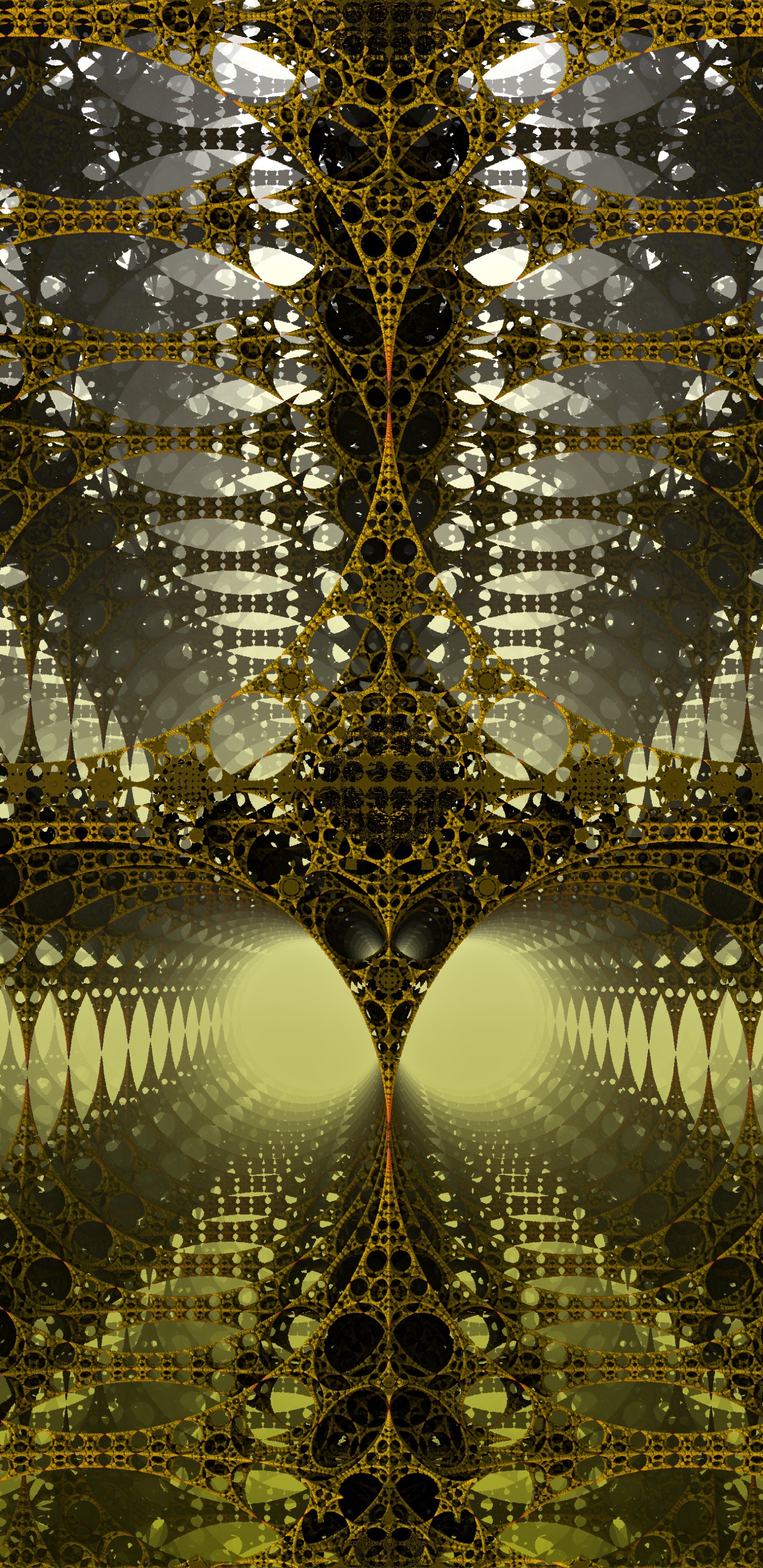 Обои солнечный свет, растение, лес, отражение, лист в разрешении 1440x2960