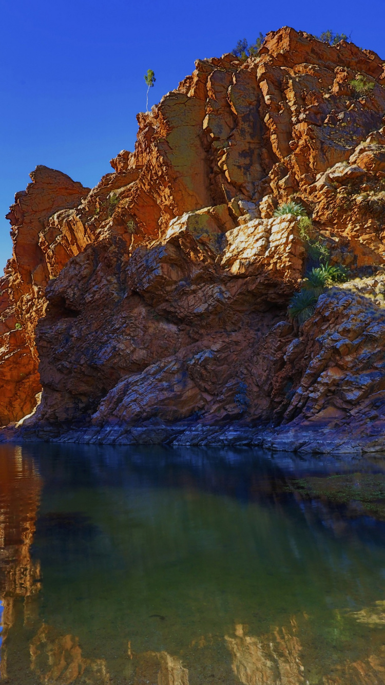 Обои Национальный парк Уэст-Макдоннелл, вода, дневное время, экорегион, природный ландшафт в разрешении 750x1334