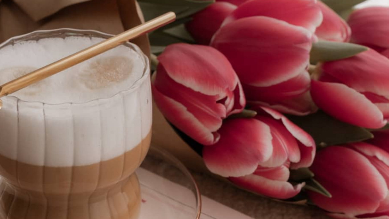 Обои Роза, цветок, растение, лепесток, ингредиент в разрешении 1366x768