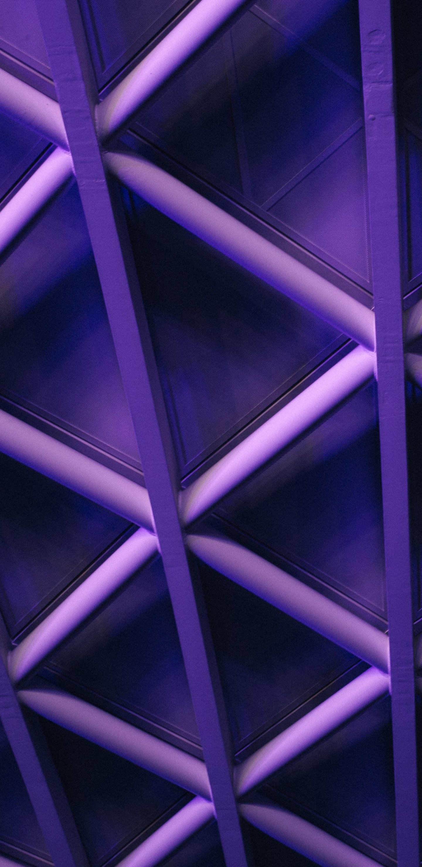 Обои Фиолетовый, пурпур, свет, узор, симметрия в разрешении 1440x2960