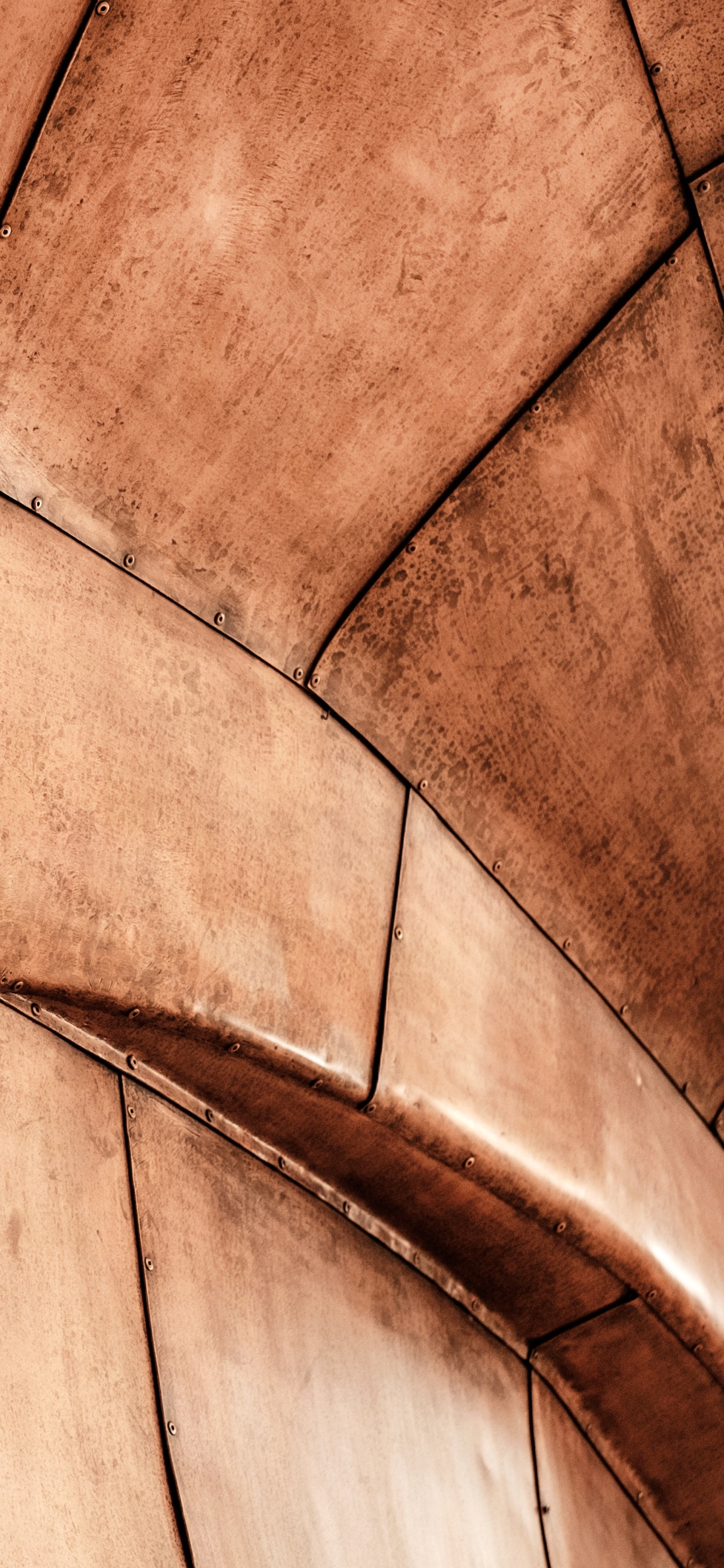 Обои коричневый цвет, древесина, линия, стена, плитка в разрешении 1242x2688
