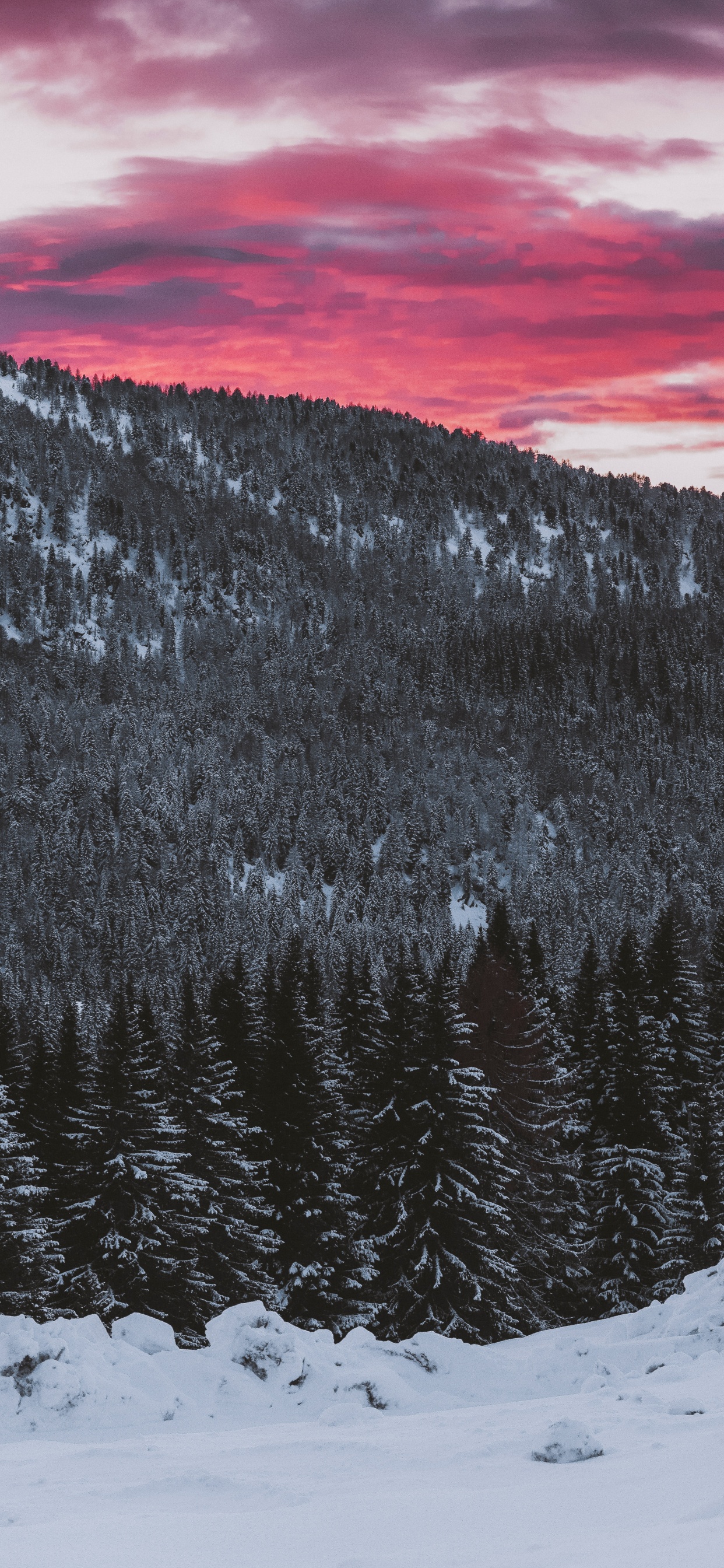 Обои снег, зима, гора, дерево, облако в разрешении 1242x2688