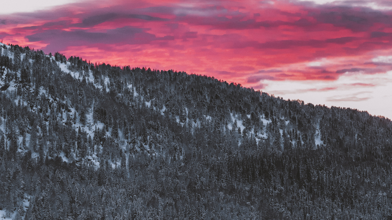 Обои снег, зима, гора, дерево, облако в разрешении 1366x768