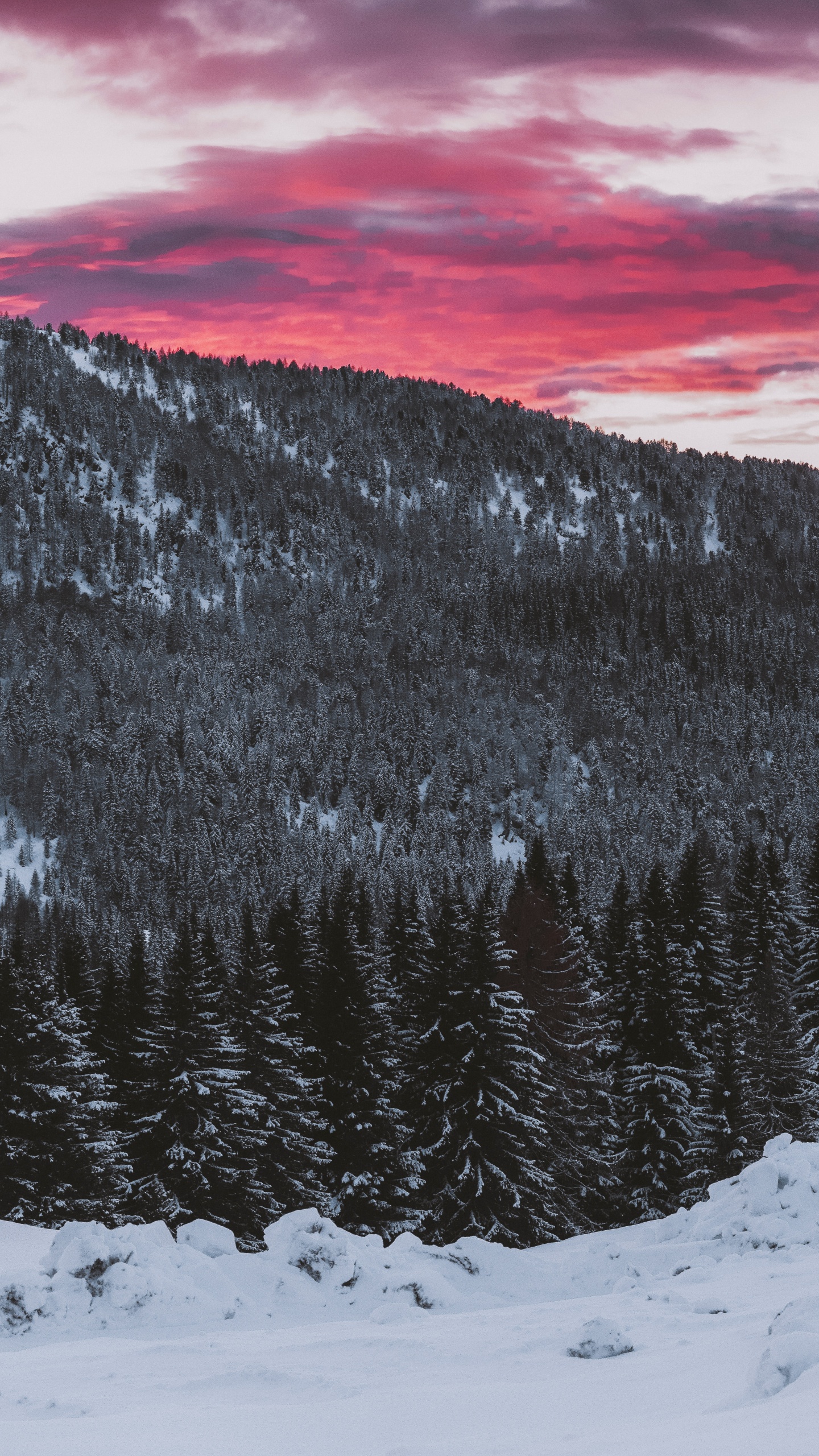 Обои снег, зима, гора, дерево, облако в разрешении 1440x2560