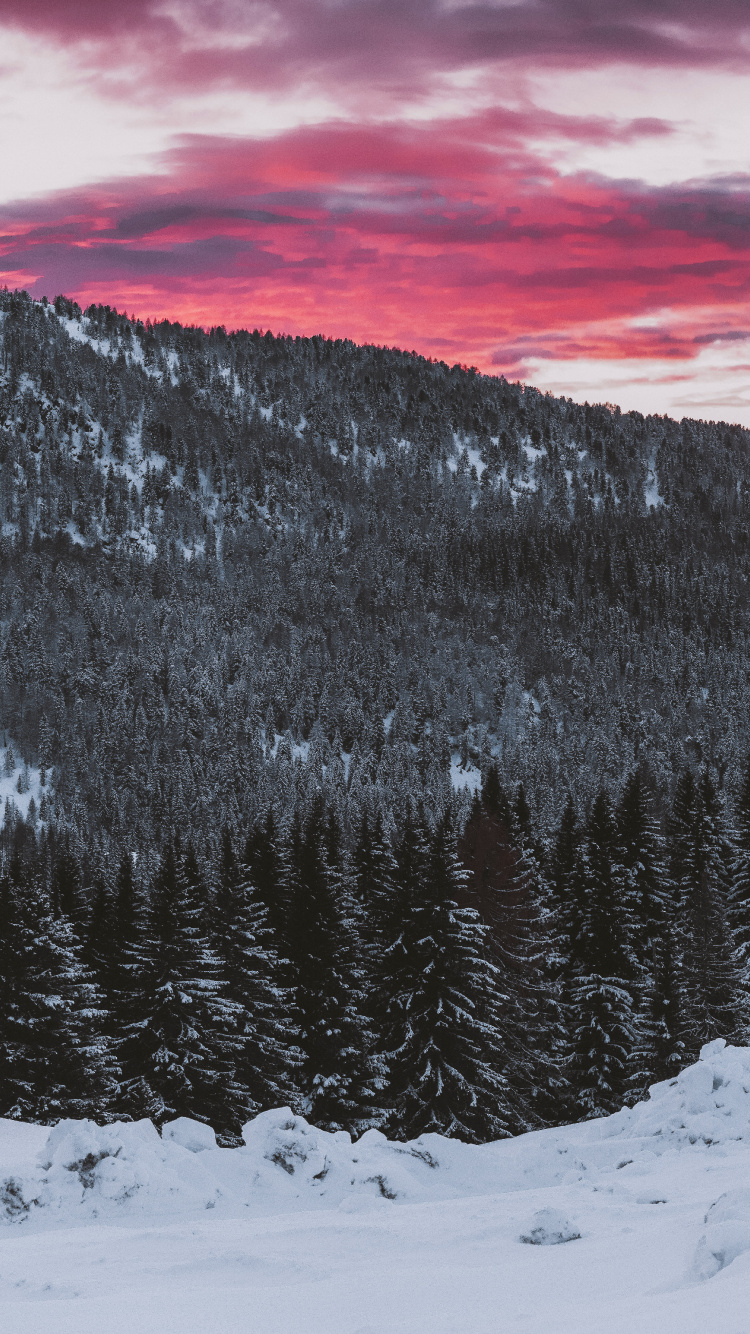 Обои снег, зима, гора, дерево, облако в разрешении 750x1334