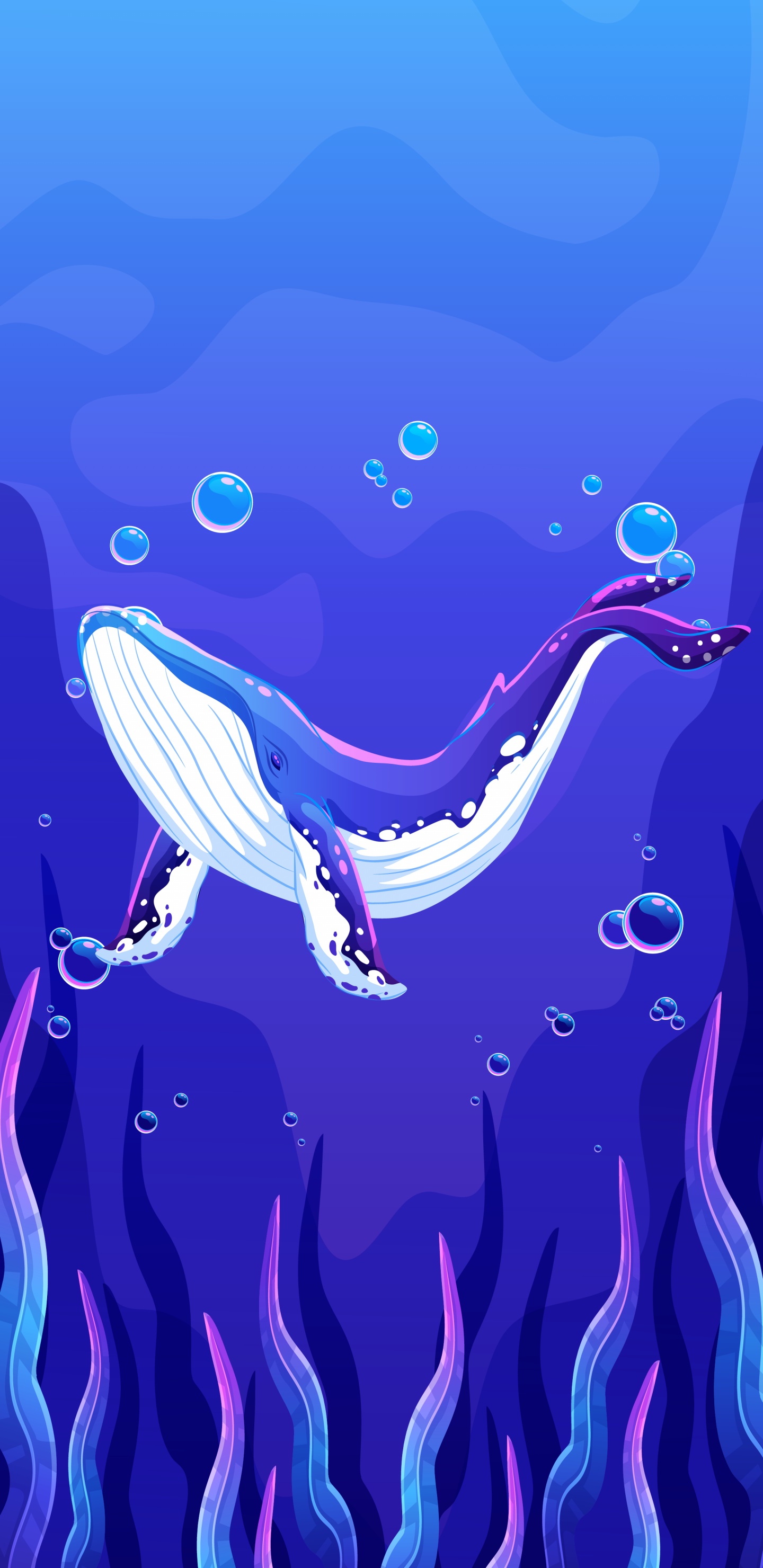 Обои вода, синий, лазурный, пурпур, жидкий в разрешении 1440x2960