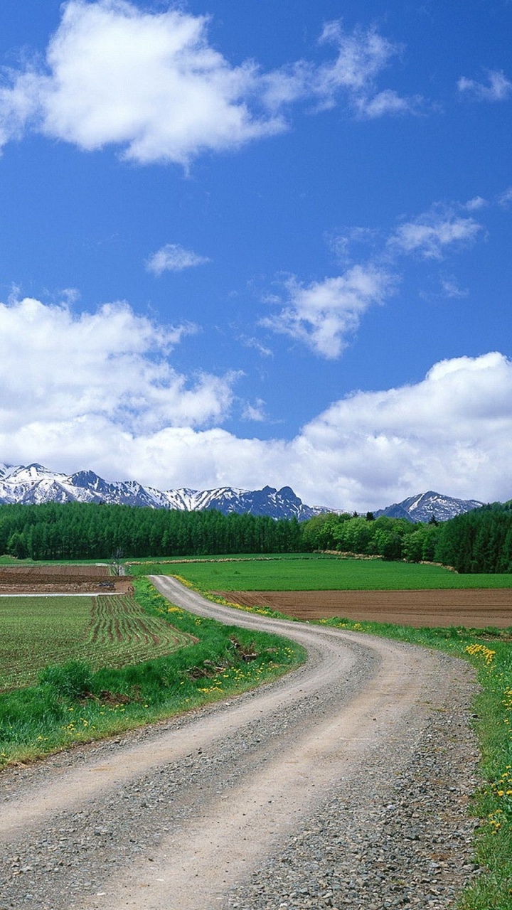 Обои дорога, облако, природа, прерия, инфраструктура в разрешении 720x1280