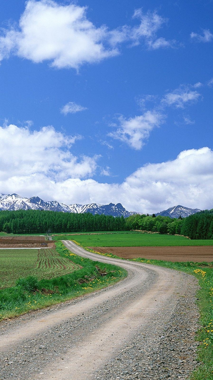 Обои дорога, облако, природа, прерия, инфраструктура в разрешении 750x1334