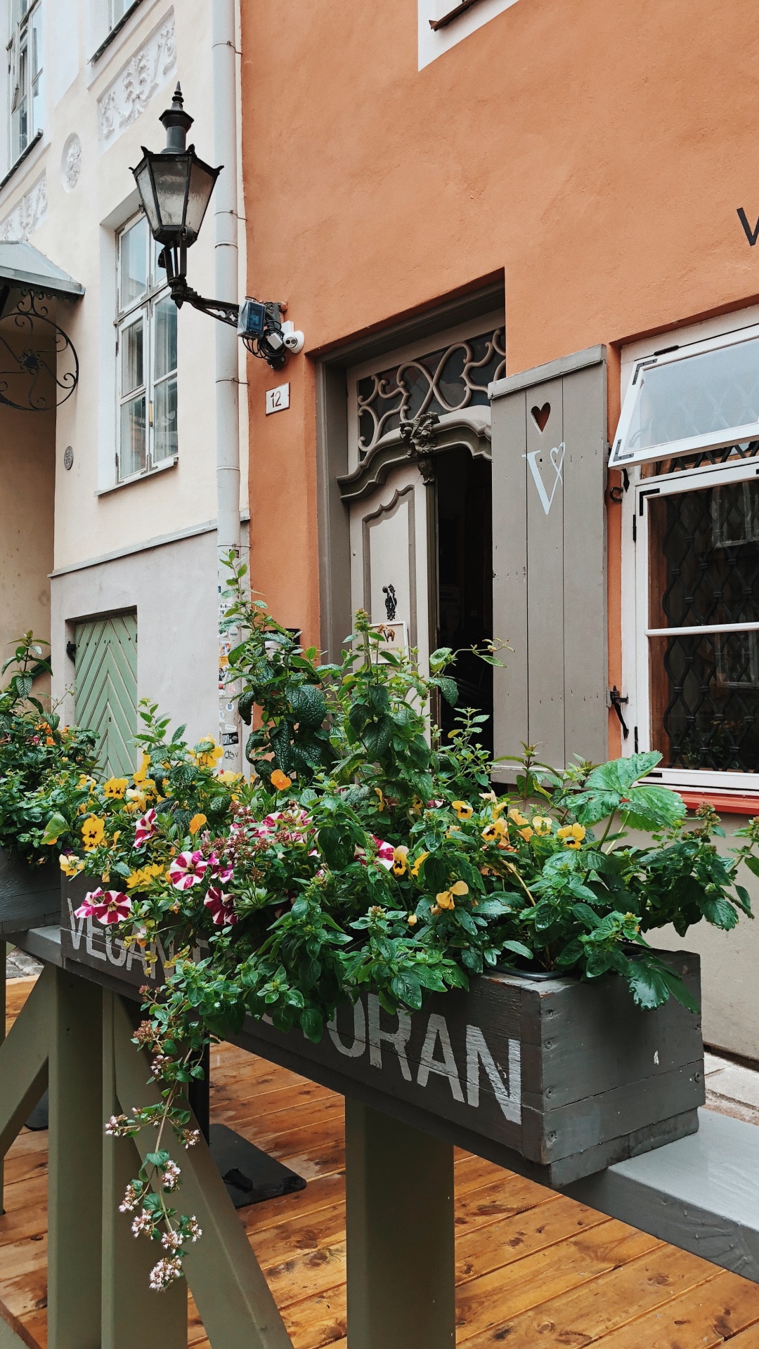 Обои цветок, окно, древесина, здание, морилка в разрешении 1080x1920