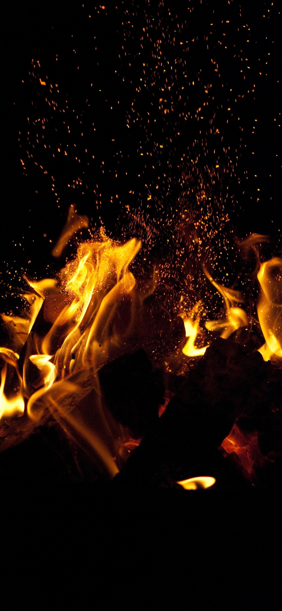 Обои пламя, огонь, тепло, костер, ночь в разрешении 1125x2436