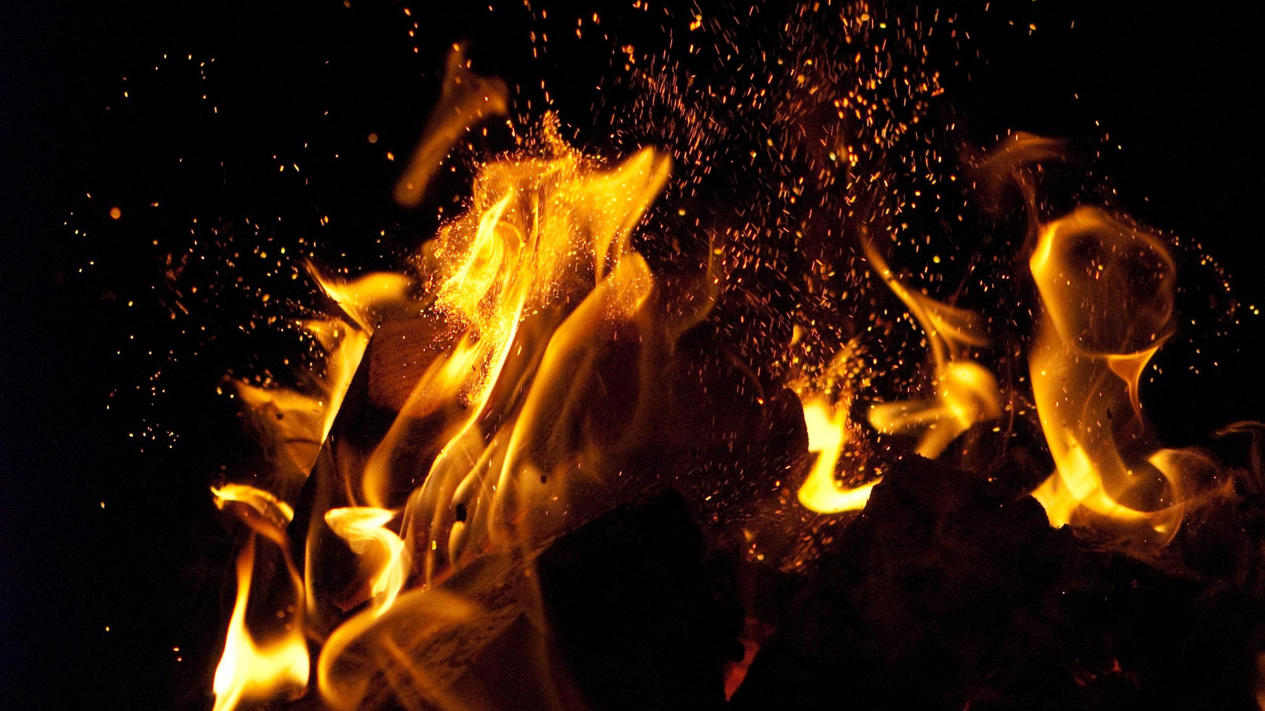 Обои пламя, огонь, тепло, костер, ночь в разрешении 2560x1440