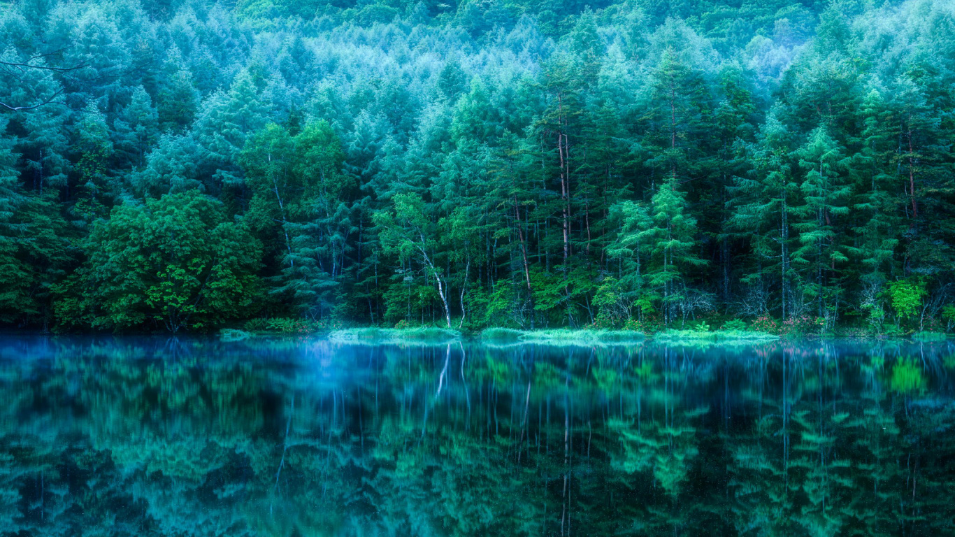 Обои природа, вода, зеленый, отражение, растительность в разрешении 1366x768