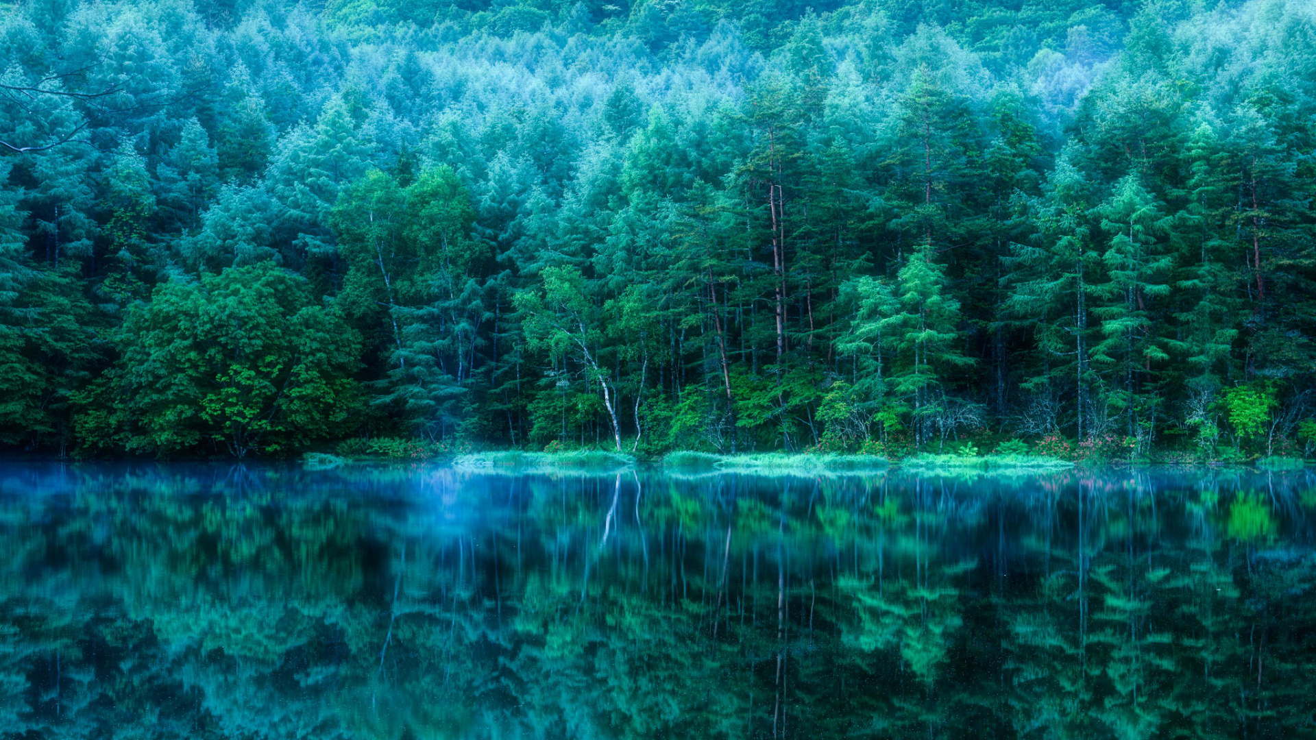 Обои природа, вода, зеленый, отражение, растительность в разрешении 1920x1080