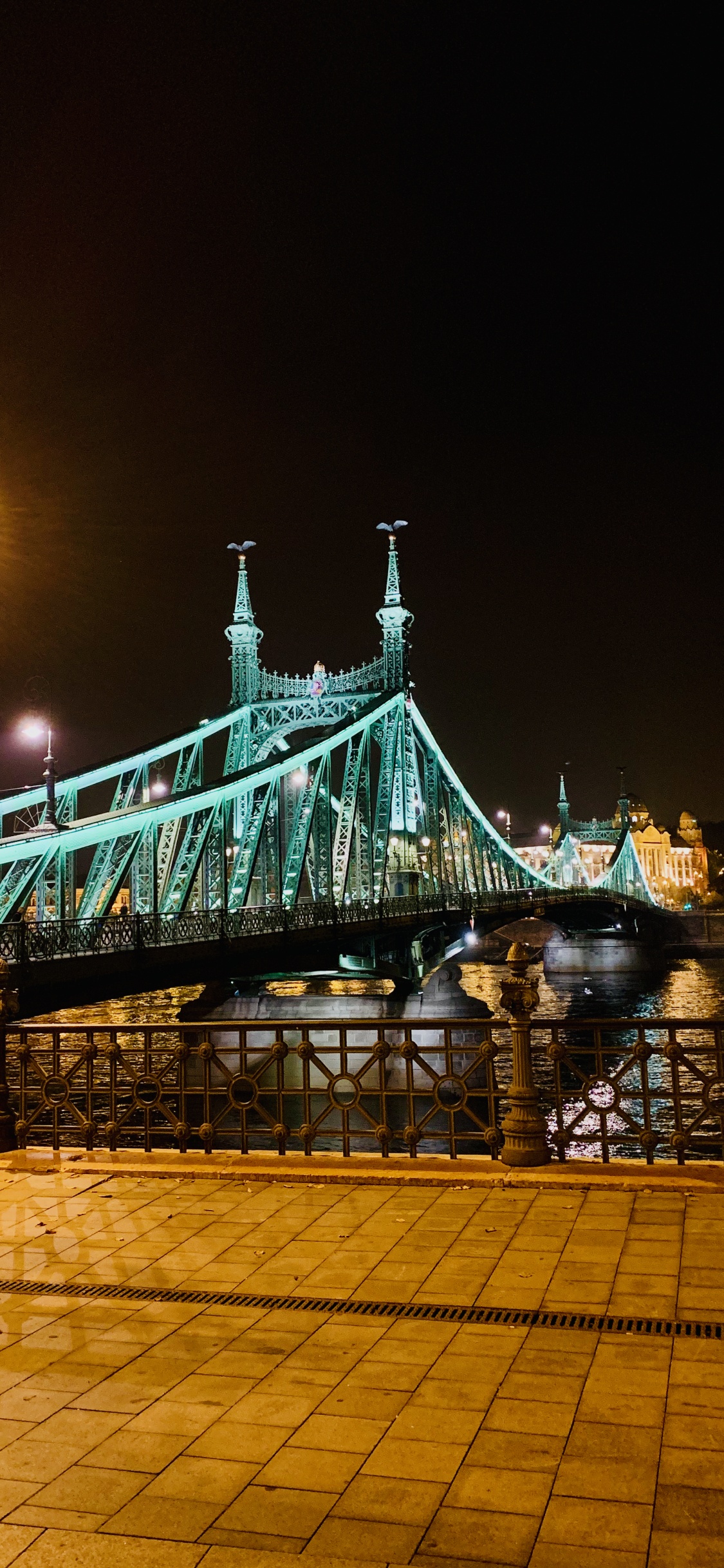 Обои Мост Свободы, вода, свет, уличный фонарь, электричество в разрешении 1125x2436