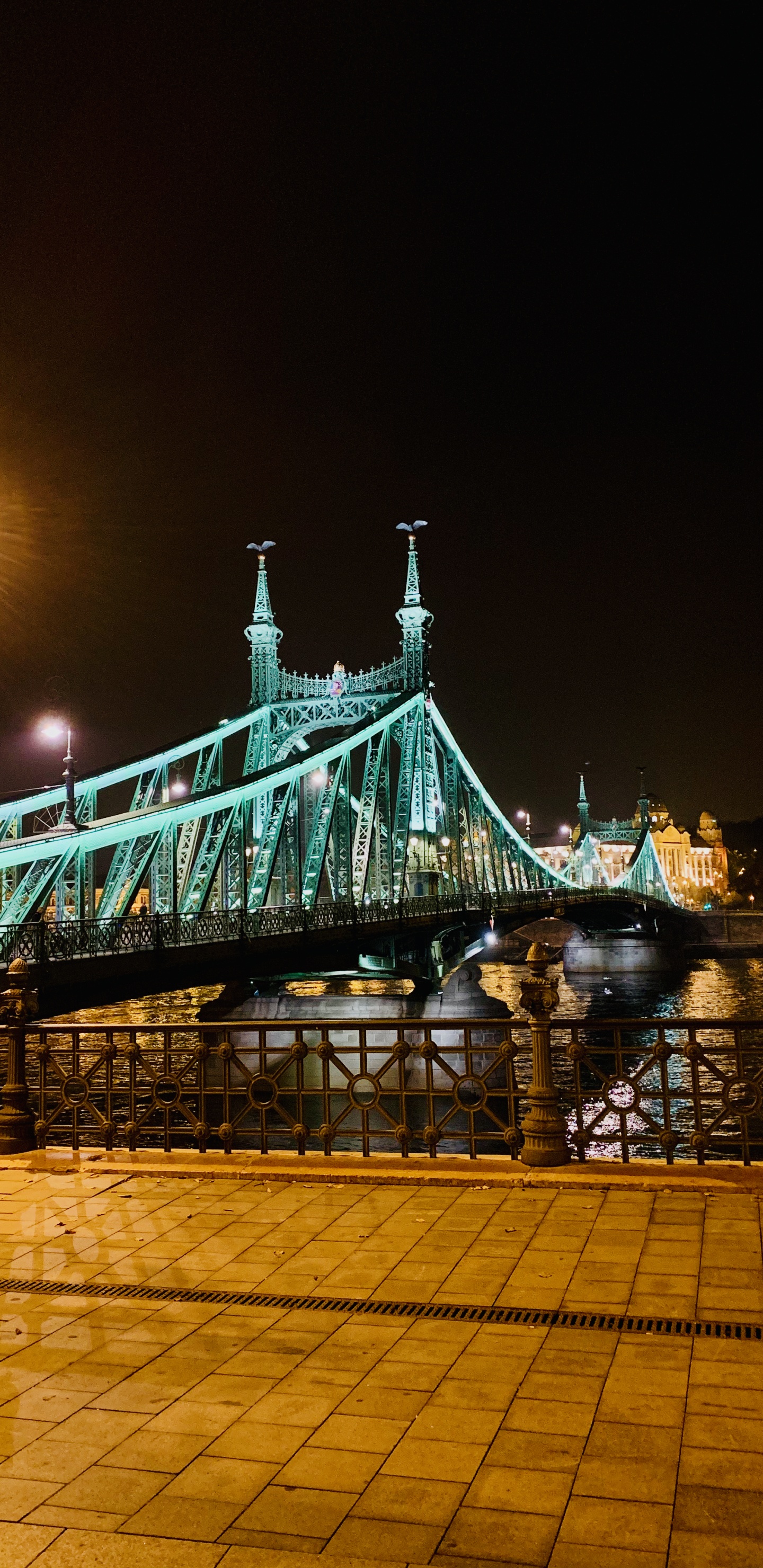 Обои Мост Свободы, вода, свет, уличный фонарь, электричество в разрешении 1440x2960