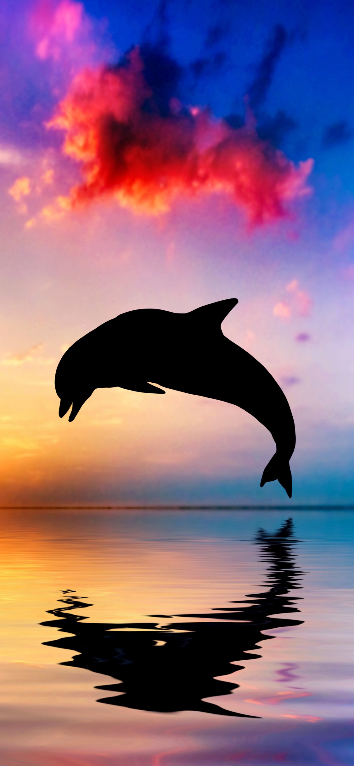 Обои Дельфин, афалина, китообразных, вода, скачок в разрешении 1125x2436