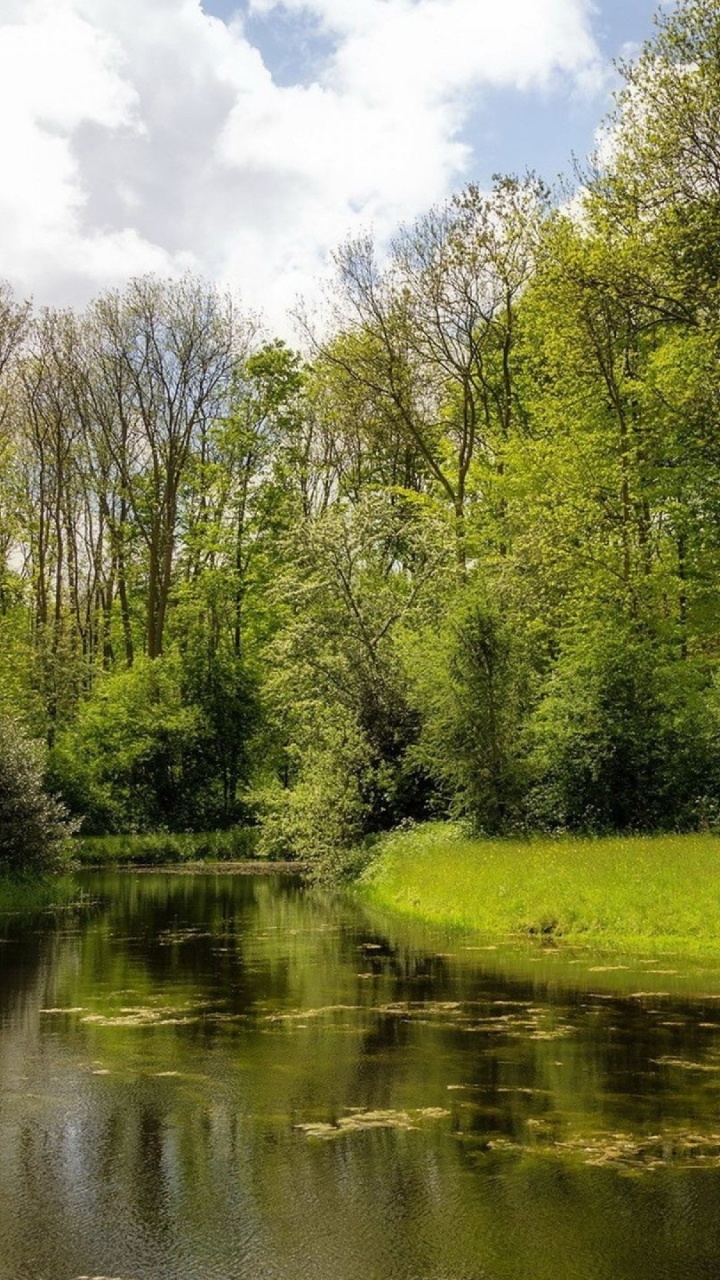 Обои лето, природа, отражение, природный заповедник, Банк в разрешении 720x1280