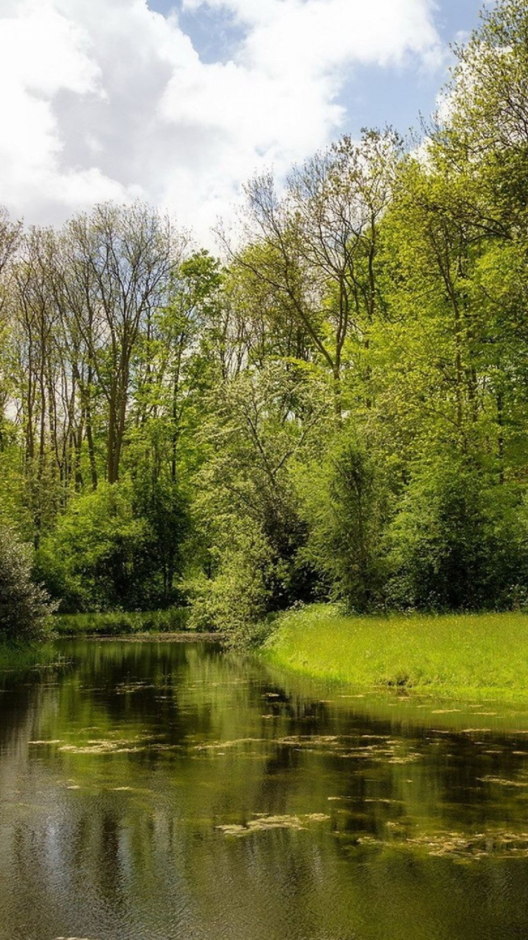 Обои лето, природа, отражение, природный заповедник, Банк в разрешении 750x1334