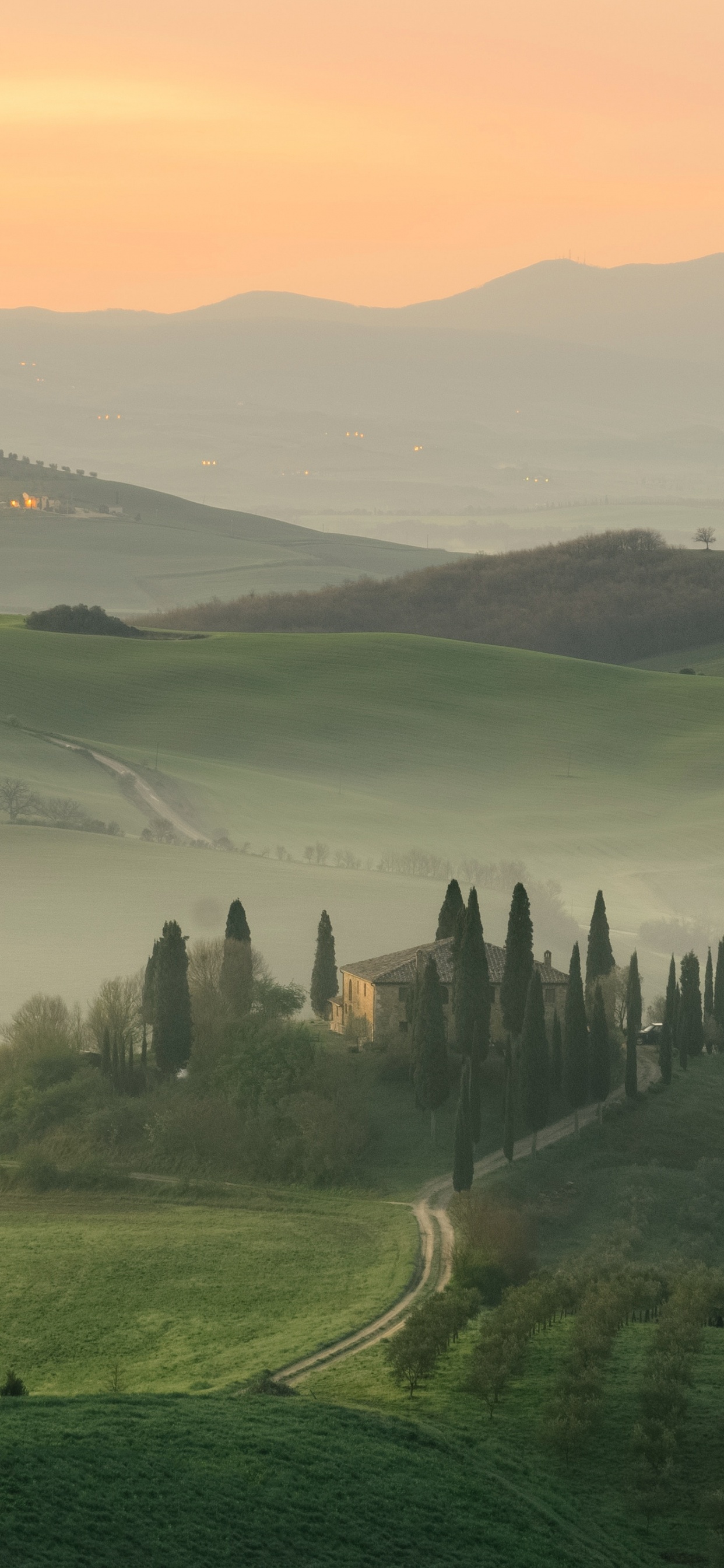 Обои природа, природный ландшафт, зеленый, холм, утро в разрешении 1242x2688