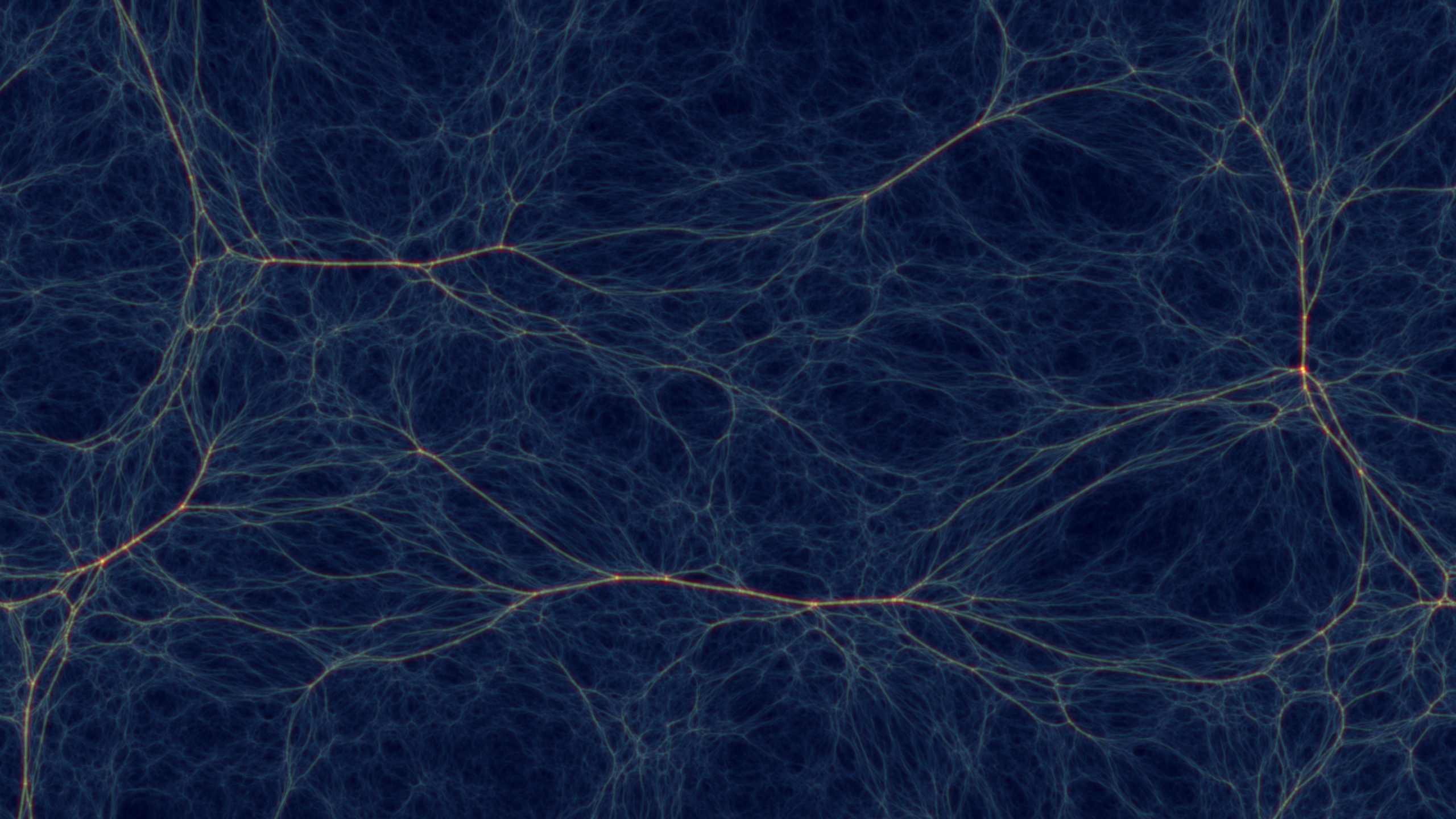 Обои синий, линия, атмосфера, свет, ветвь в разрешении 2560x1440