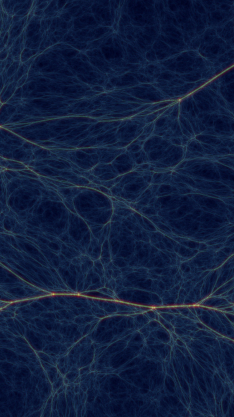 Обои синий, линия, атмосфера, свет, ветвь в разрешении 750x1334