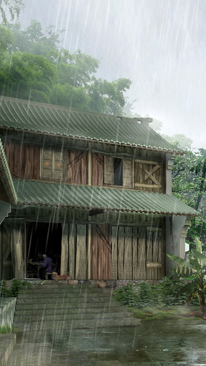 Обои дождь, джунгли, дерево, Хаус, лес в разрешении 720x1280