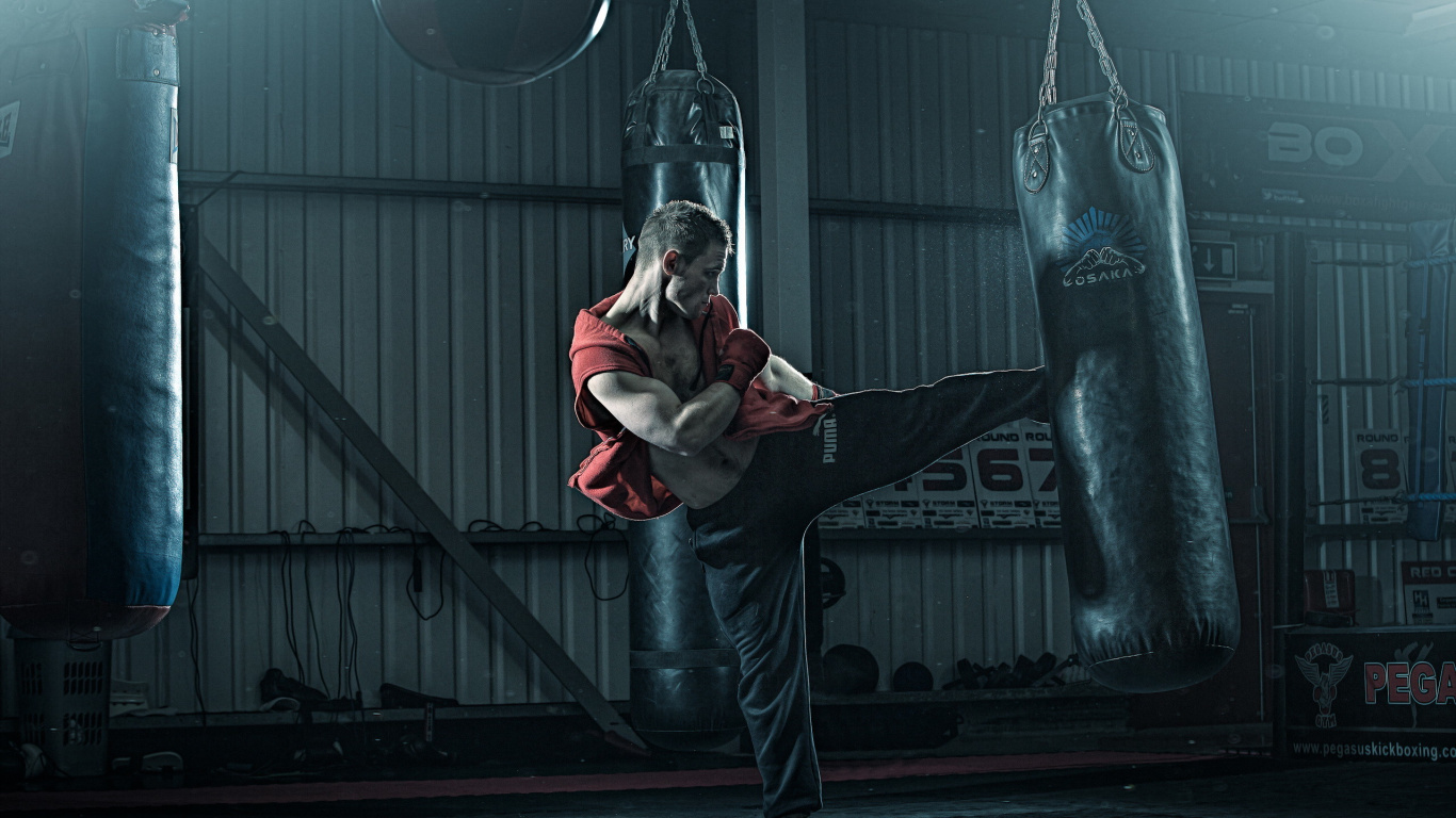 Обои театральное искусство, компьютерная игра, перформанс, Бодибилдинг, хореография в разрешении 1366x768