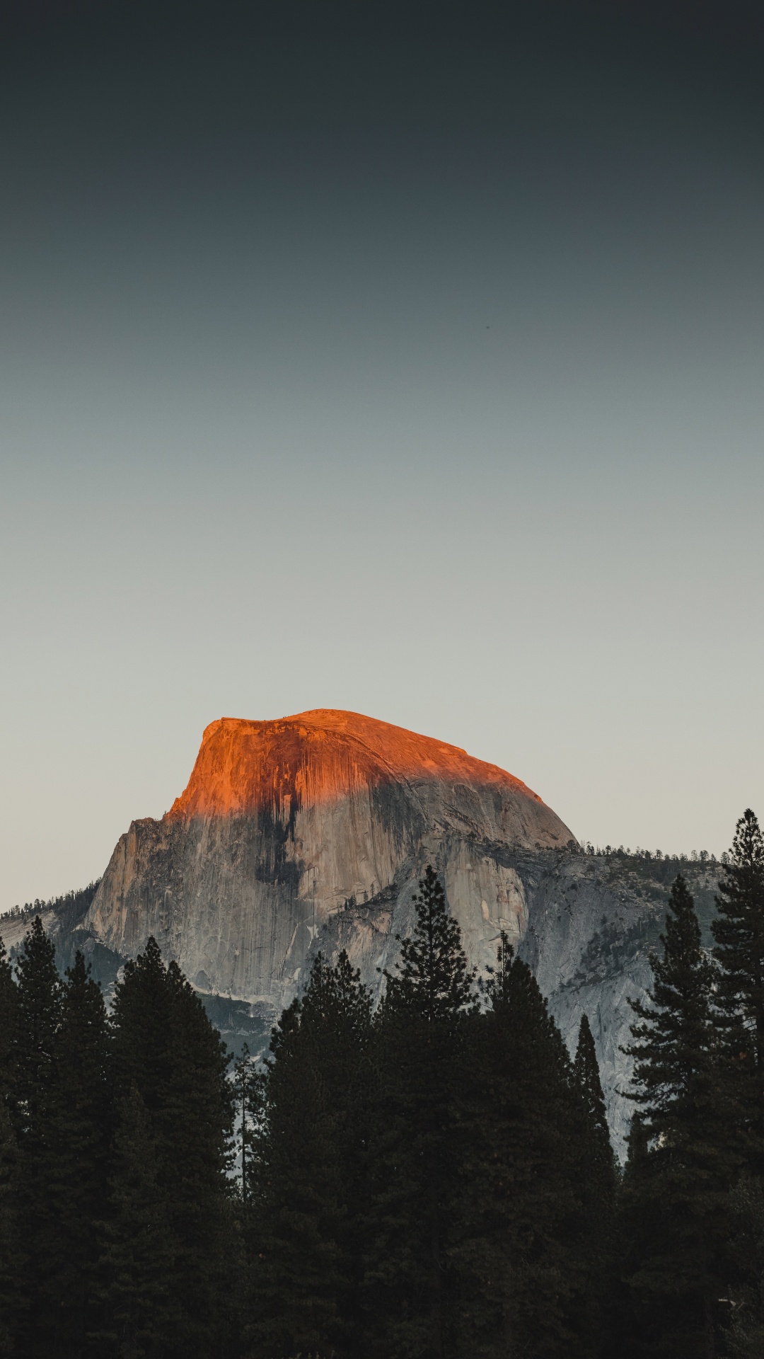Обои йосемитский национальный парк, отпустить, гора, дерево, сумрак в разрешении 1080x1920