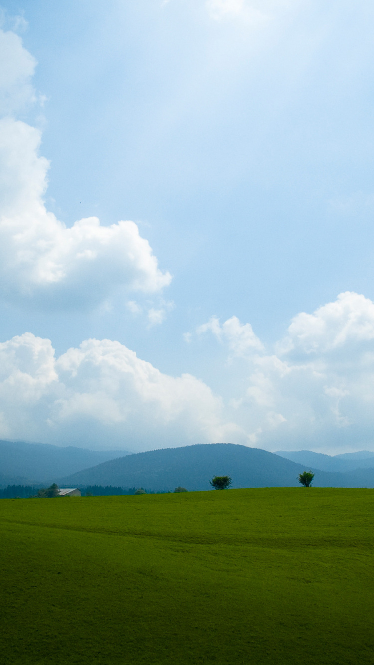 Обои сенокосное угодье, зеленый, облако, природа, поле в разрешении 750x1334