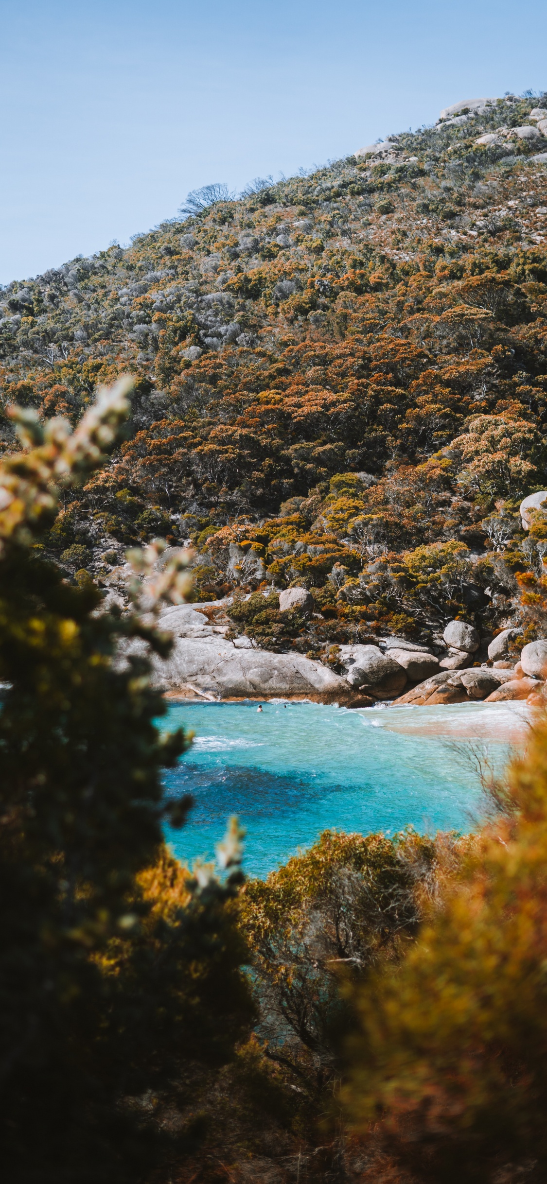 Обои водоем, природа, природный ландшафт, вода, дикая местность в разрешении 1125x2436
