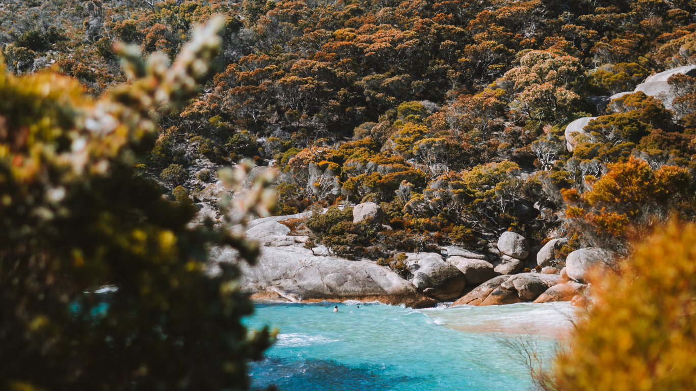 Обои водоем, природа, природный ландшафт, вода, дикая местность в разрешении 1366x768