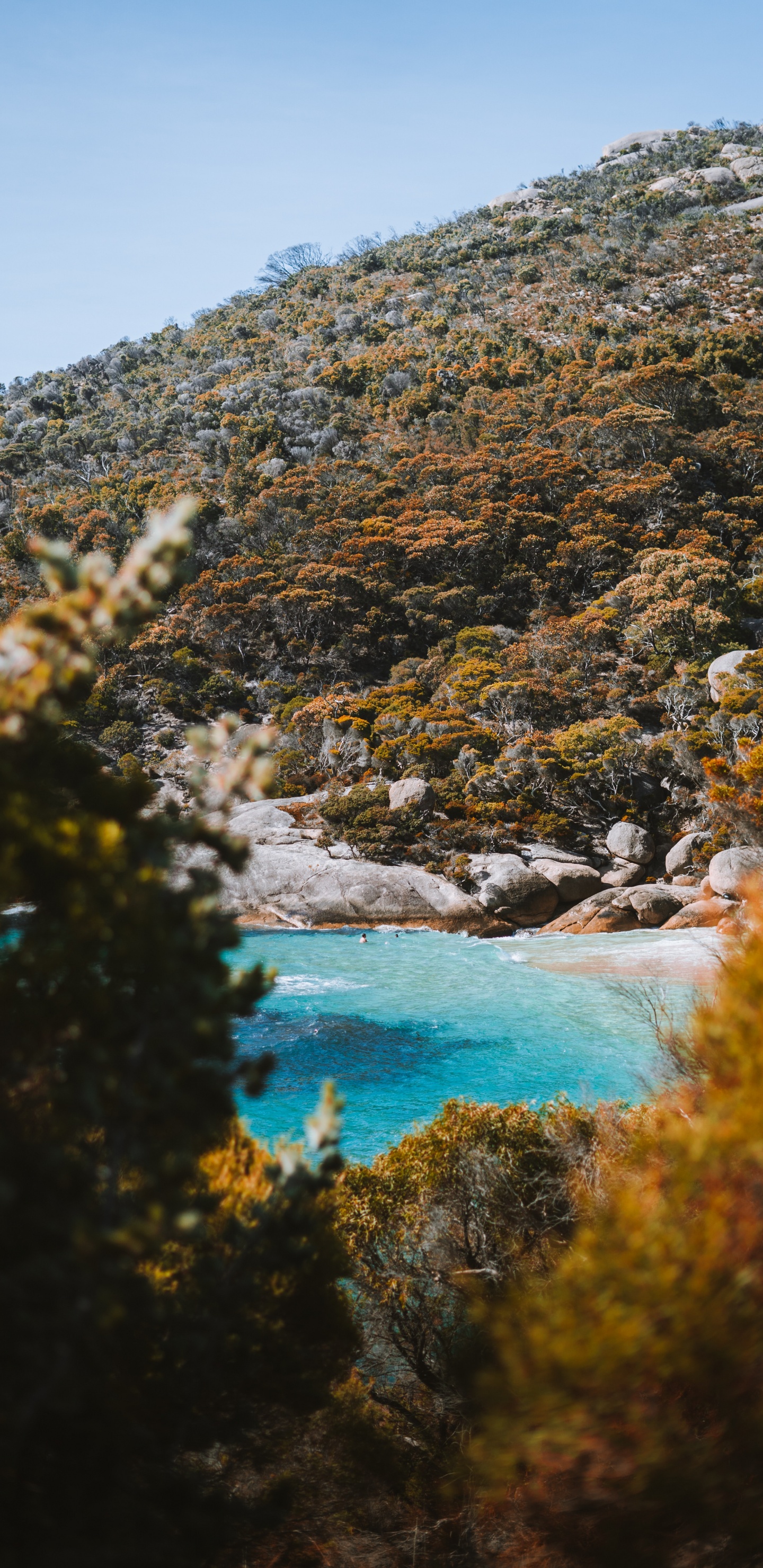 Обои водоем, природа, природный ландшафт, вода, дикая местность в разрешении 1440x2960