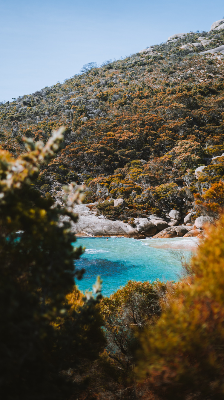 Обои водоем, природа, природный ландшафт, вода, дикая местность в разрешении 750x1334