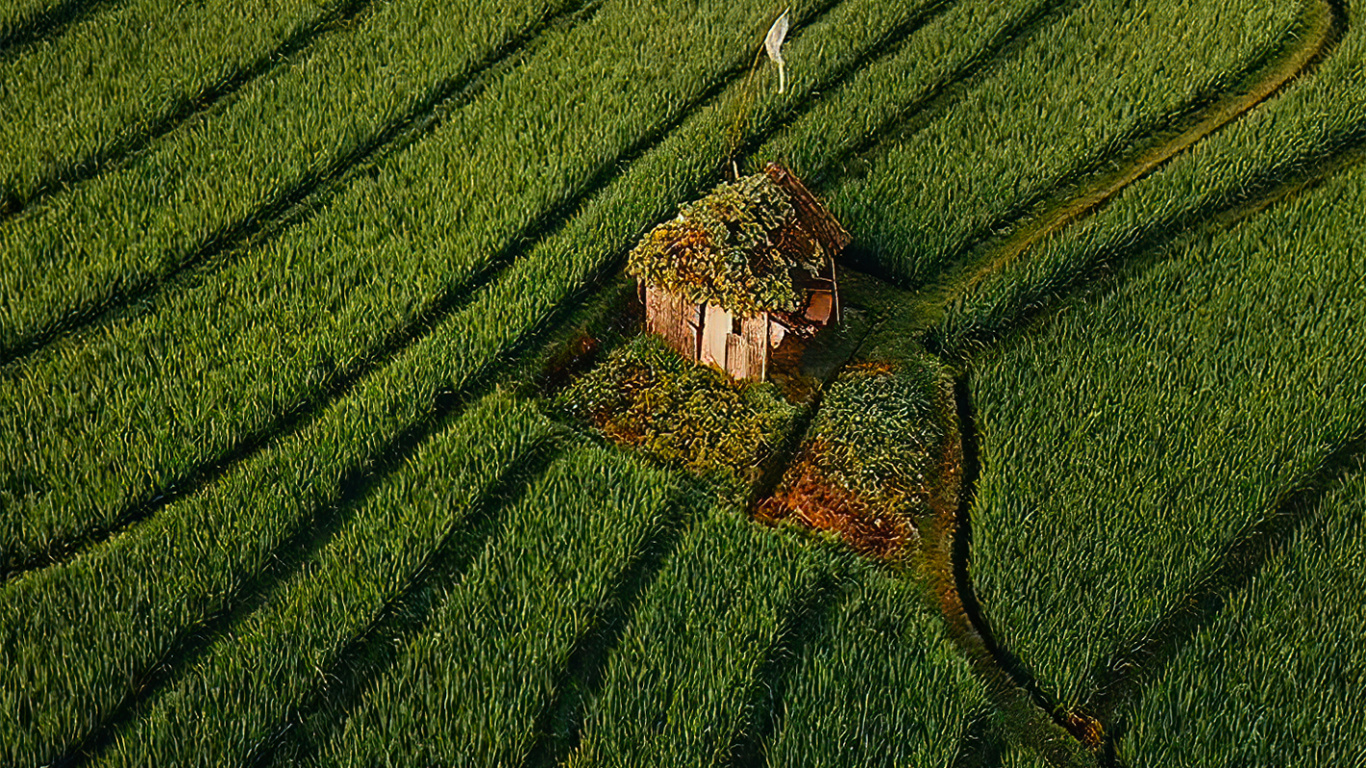 Обои Люди в природе, мечты я люблю путешествовать, путешествие, сельское хозяйство, наземное растение в разрешении 1366x768