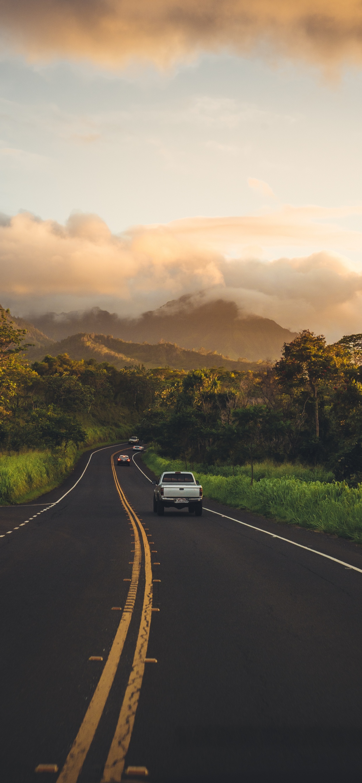 Обои кауаи, облако, растение, легковые автомобили, гора в разрешении 1242x2688