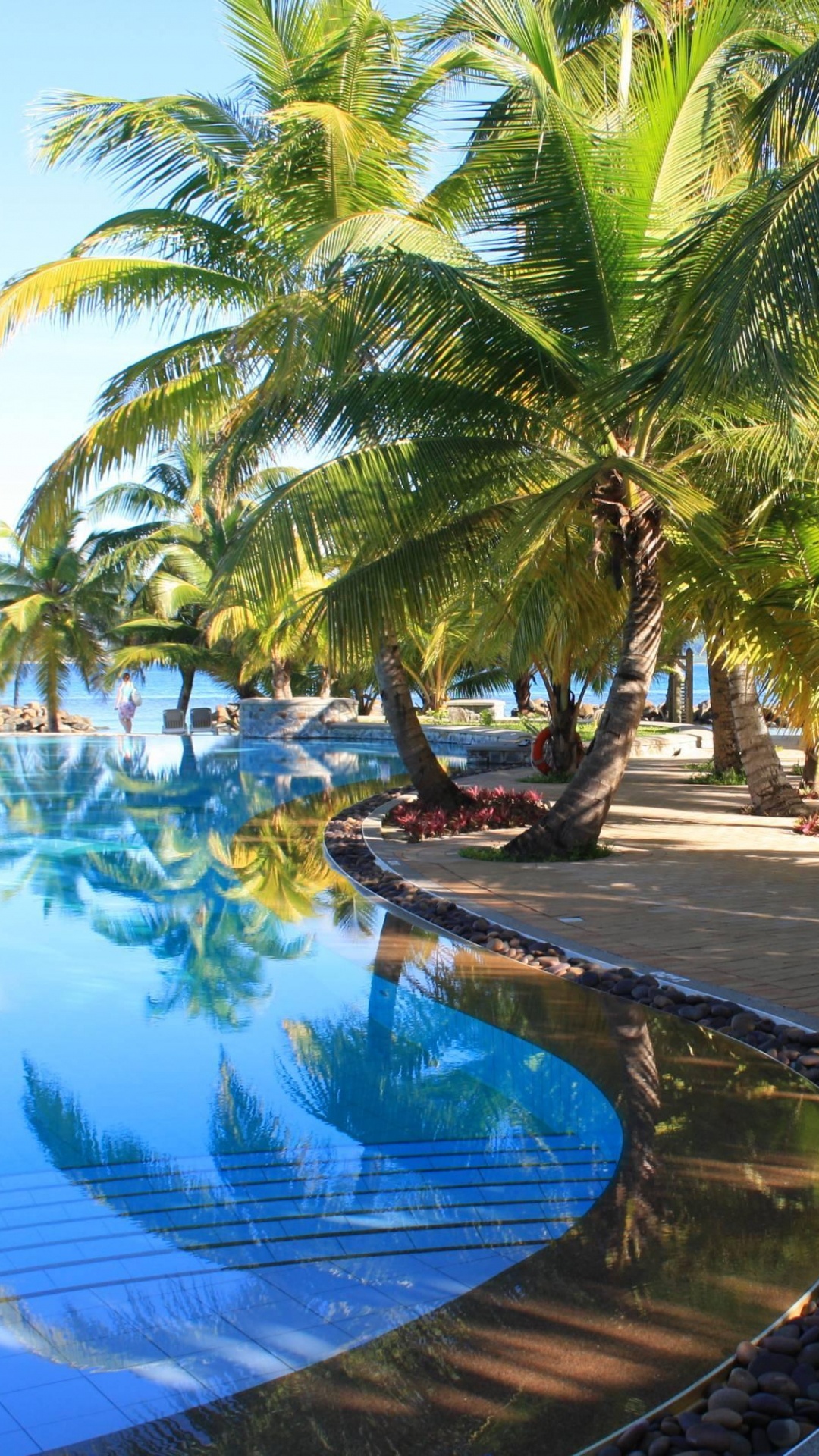 Обои плавательный бассейн, прибежище, Пальма, отпуск, тропическая зона в разрешении 1080x1920