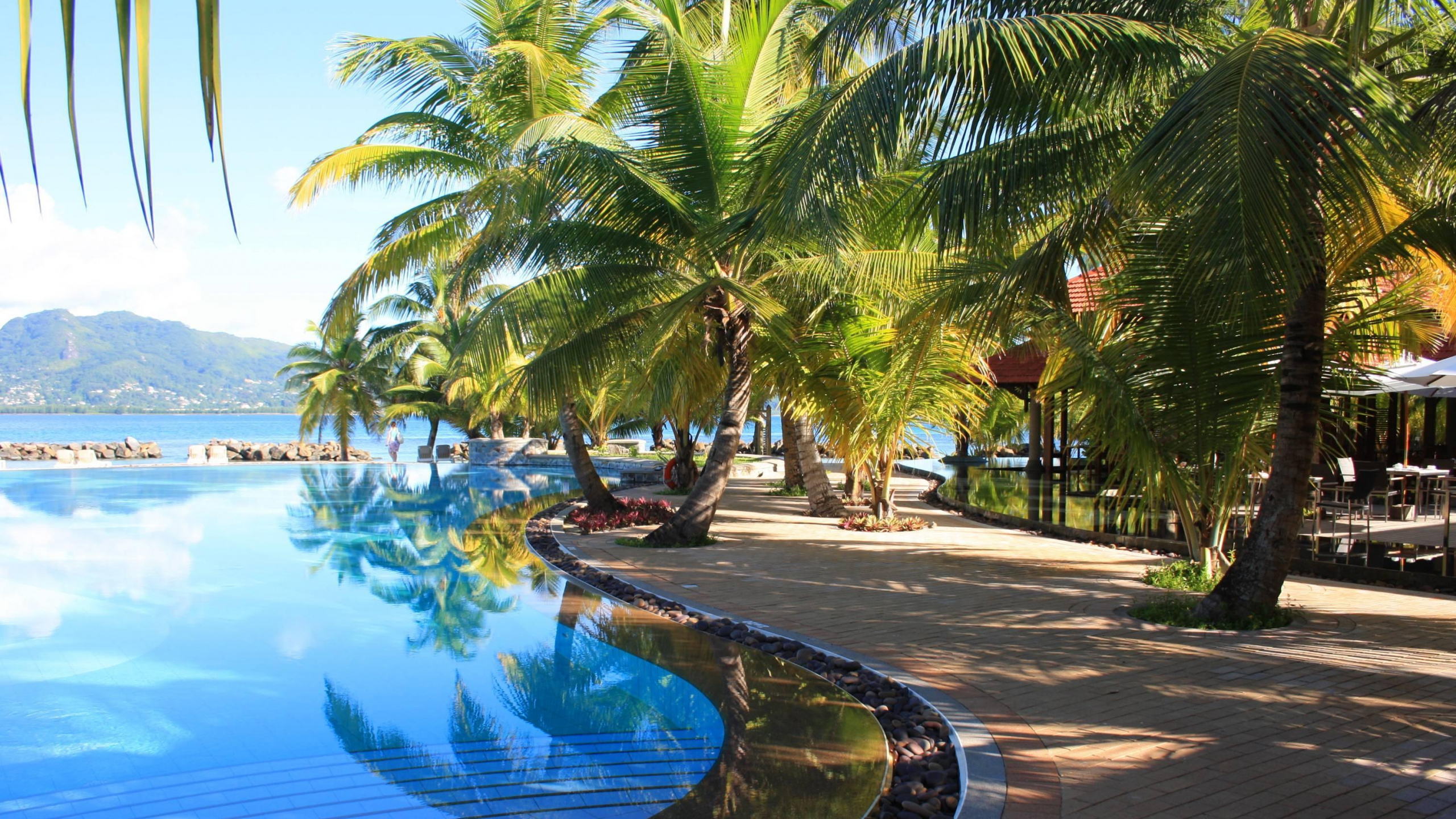 Обои плавательный бассейн, прибежище, Пальма, отпуск, тропическая зона в разрешении 2560x1440