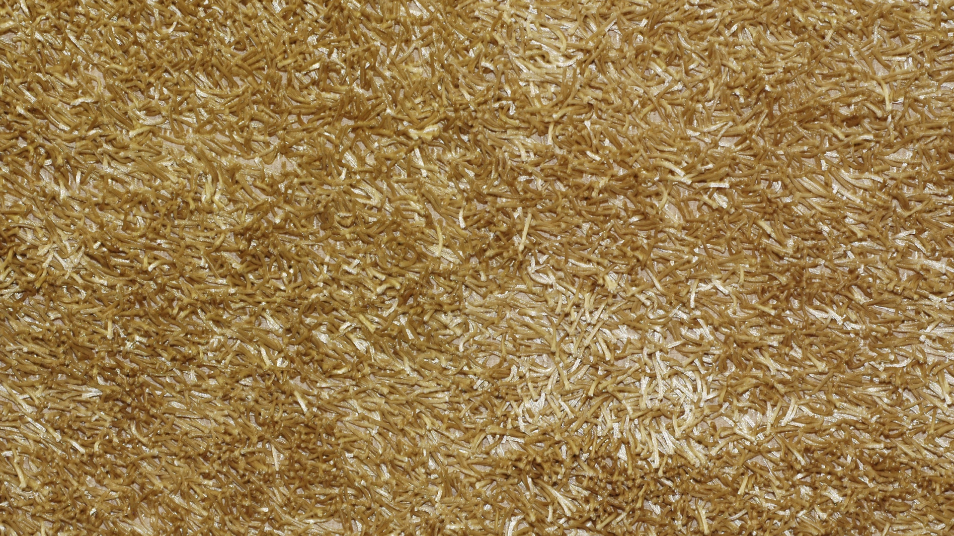 Обои текстура, наложение текстуры, зерно, семейство травы, текстуры в разрешении 1920x1080