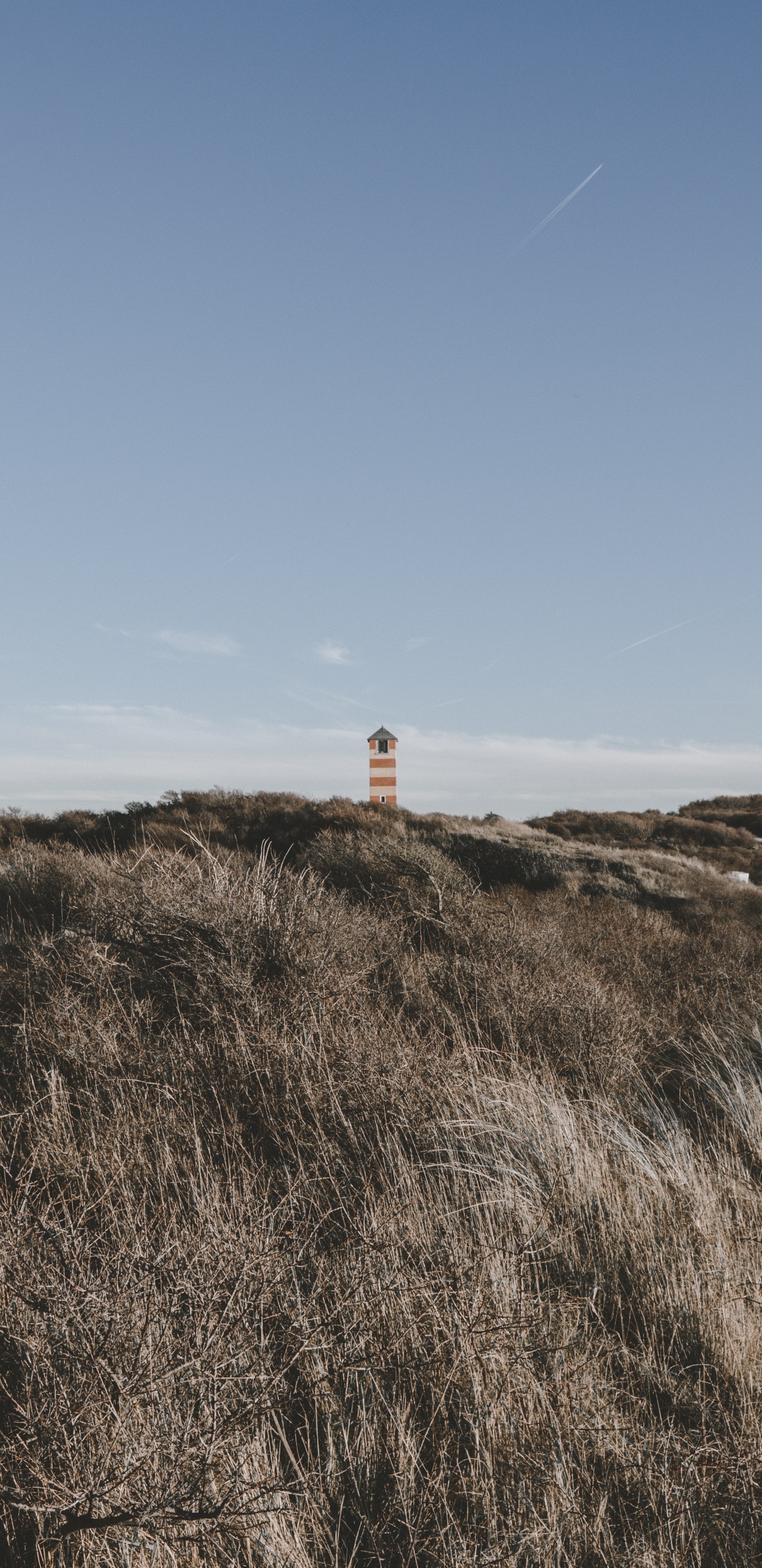 Обои Одинокий маяк в разрешении 1440x2960