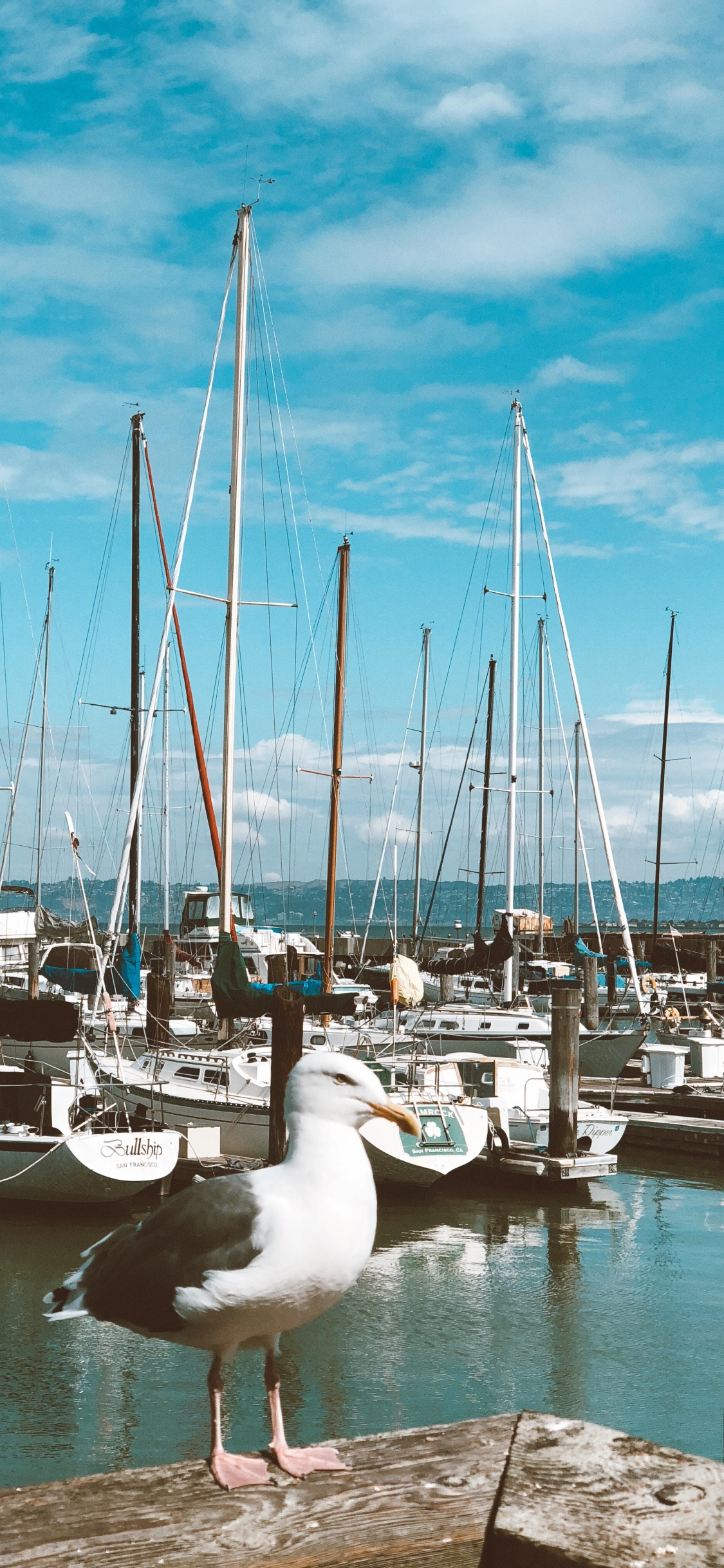 Обои Марина, парусная шлюпка, лодка, водоем, облако в разрешении 1125x2436