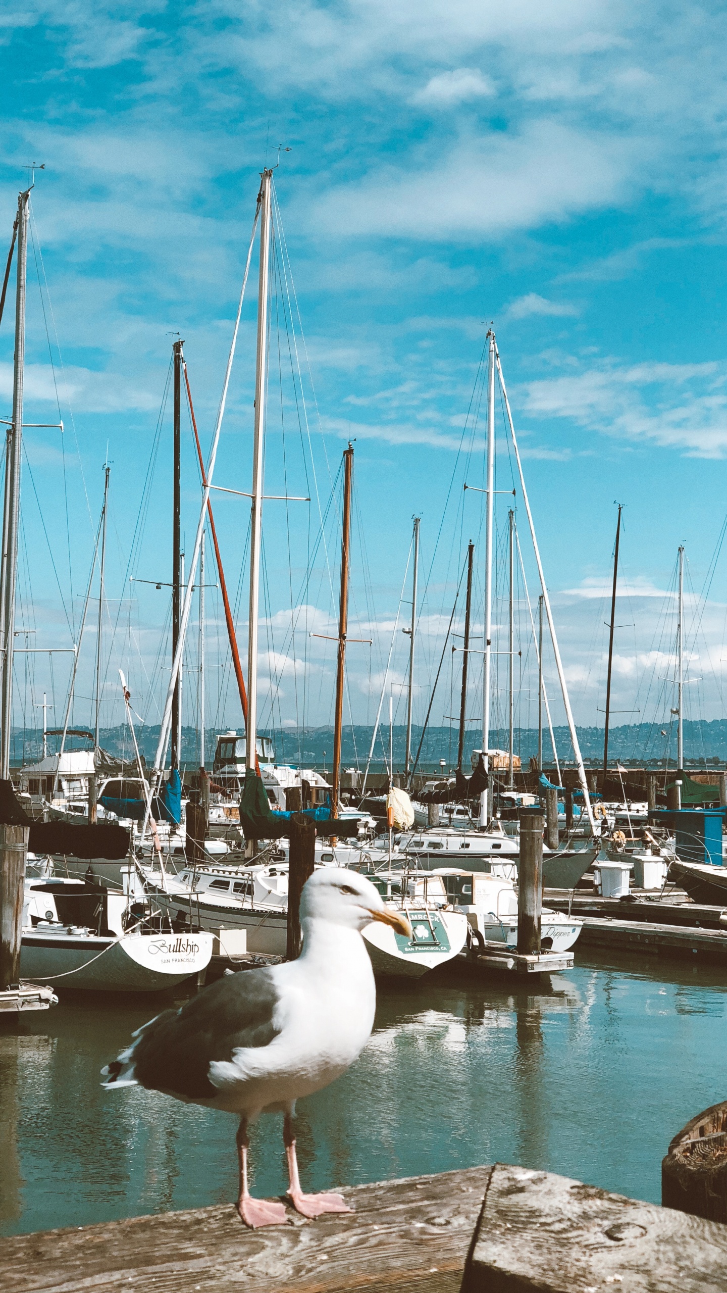 Обои Марина, парусная шлюпка, лодка, водоем, облако в разрешении 1440x2560