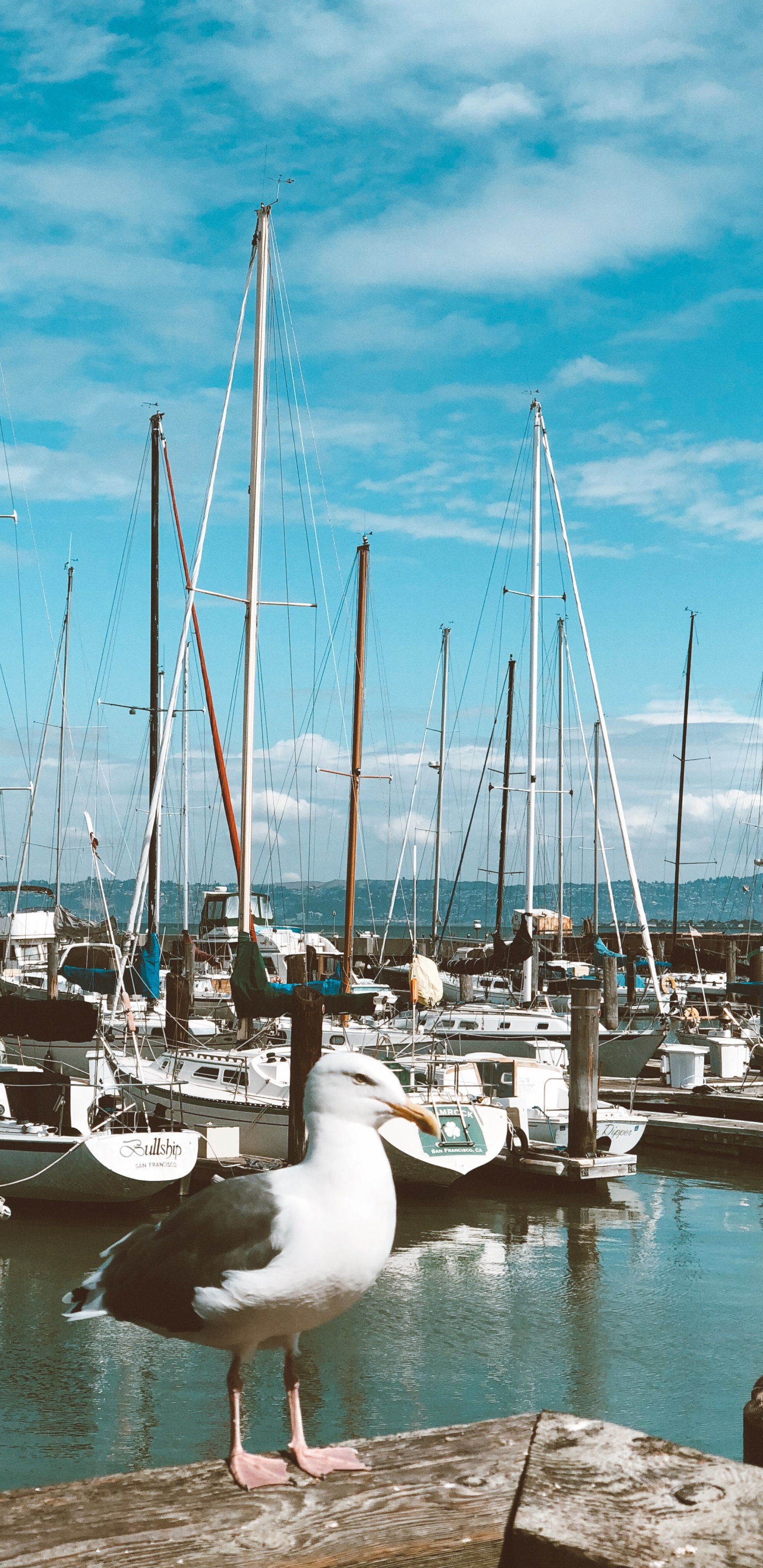 Обои Марина, парусная шлюпка, лодка, водоем, облако в разрешении 1440x2960