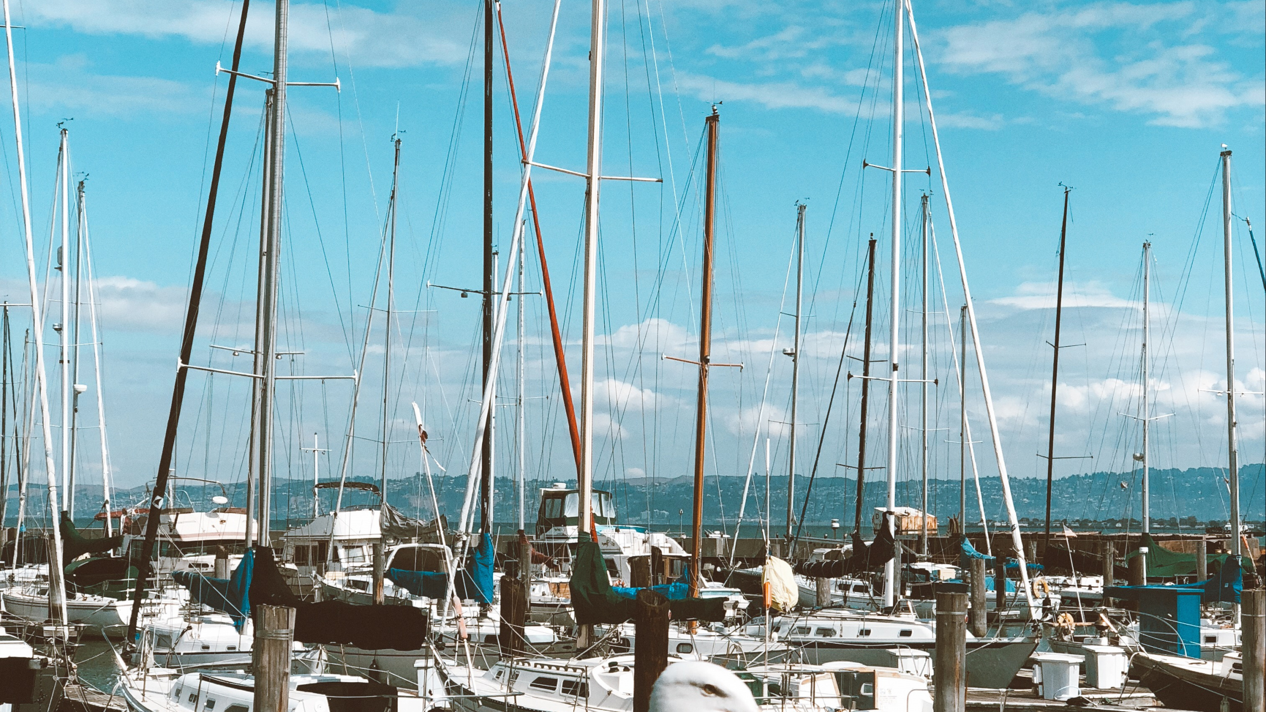 Обои Марина, парусная шлюпка, лодка, водоем, облако в разрешении 2560x1440