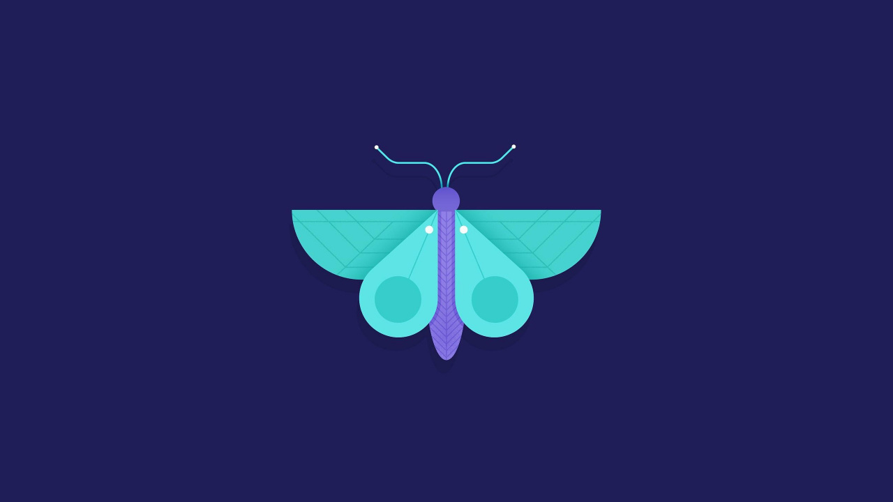 Обои бабочка минималист, минимализм, насекомое, абстрактное искусство, бирюза в разрешении 1280x720