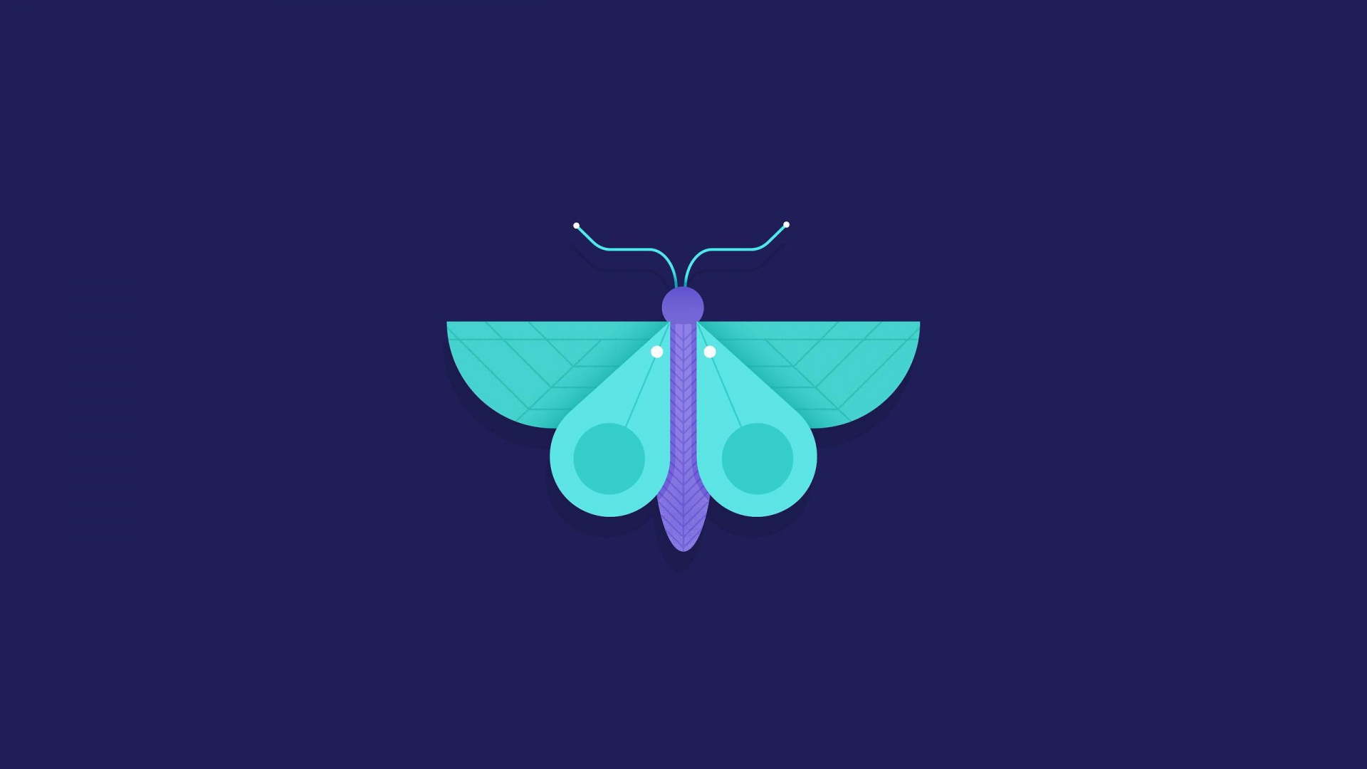 Обои бабочка минималист, минимализм, насекомое, абстрактное искусство, бирюза в разрешении 1920x1080