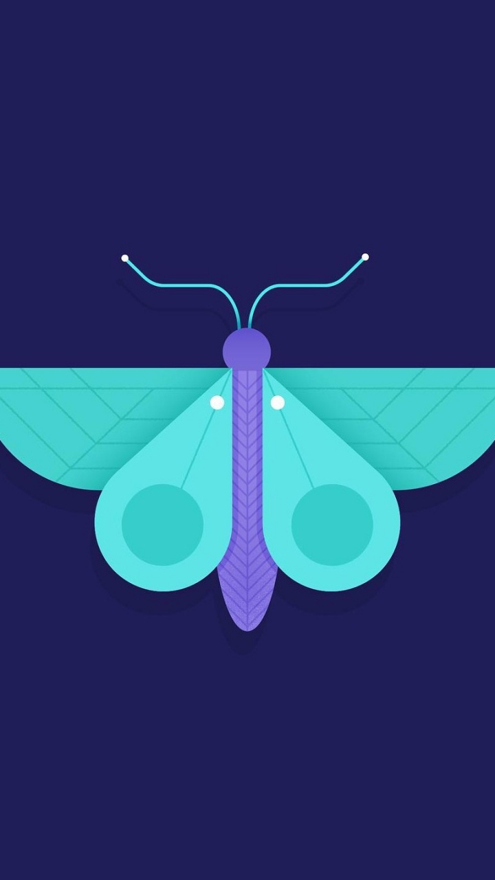 Обои бабочка минималист, минимализм, насекомое, абстрактное искусство, бирюза в разрешении 720x1280