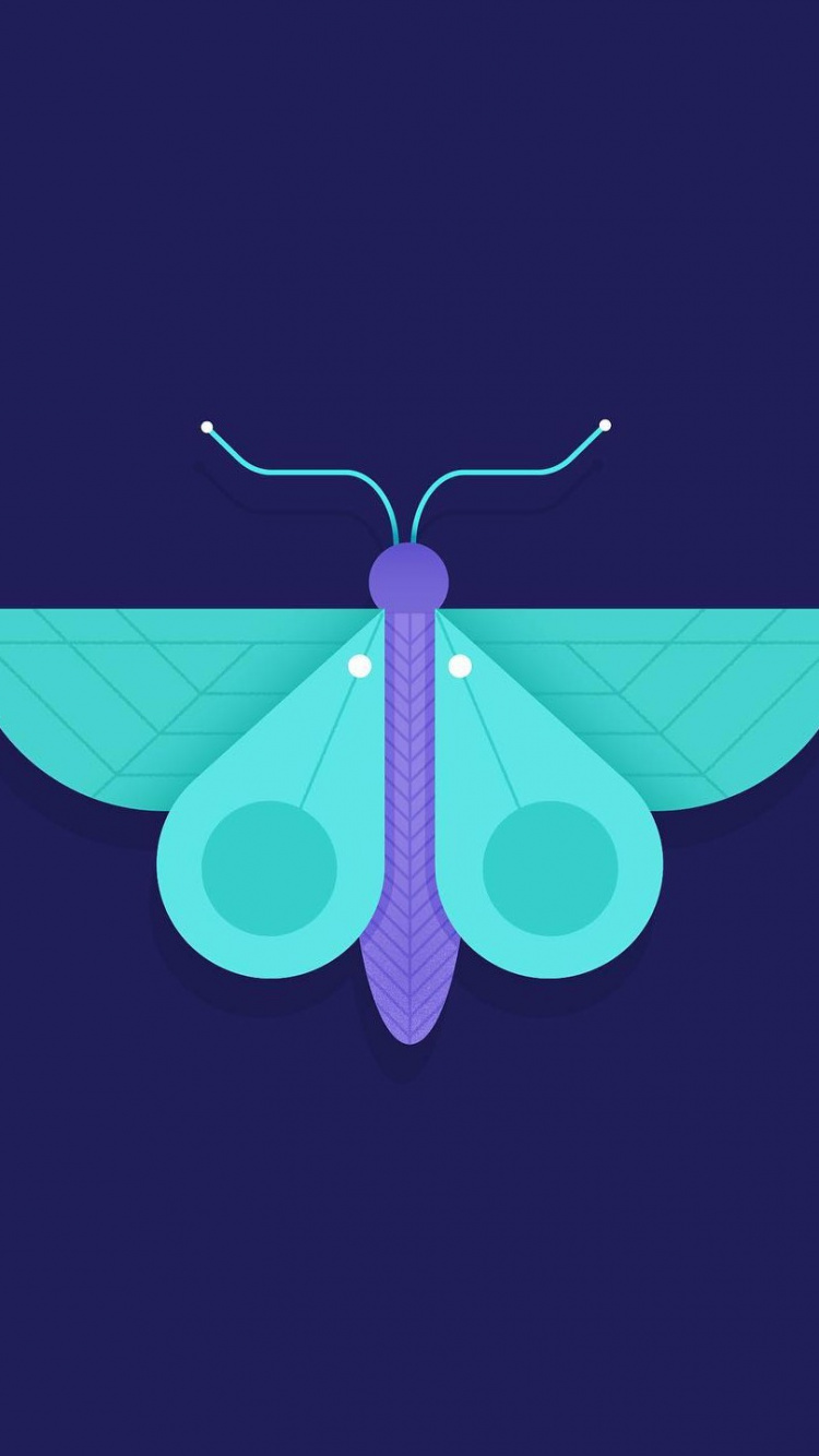 Обои бабочка минималист, минимализм, насекомое, абстрактное искусство, бирюза в разрешении 750x1334