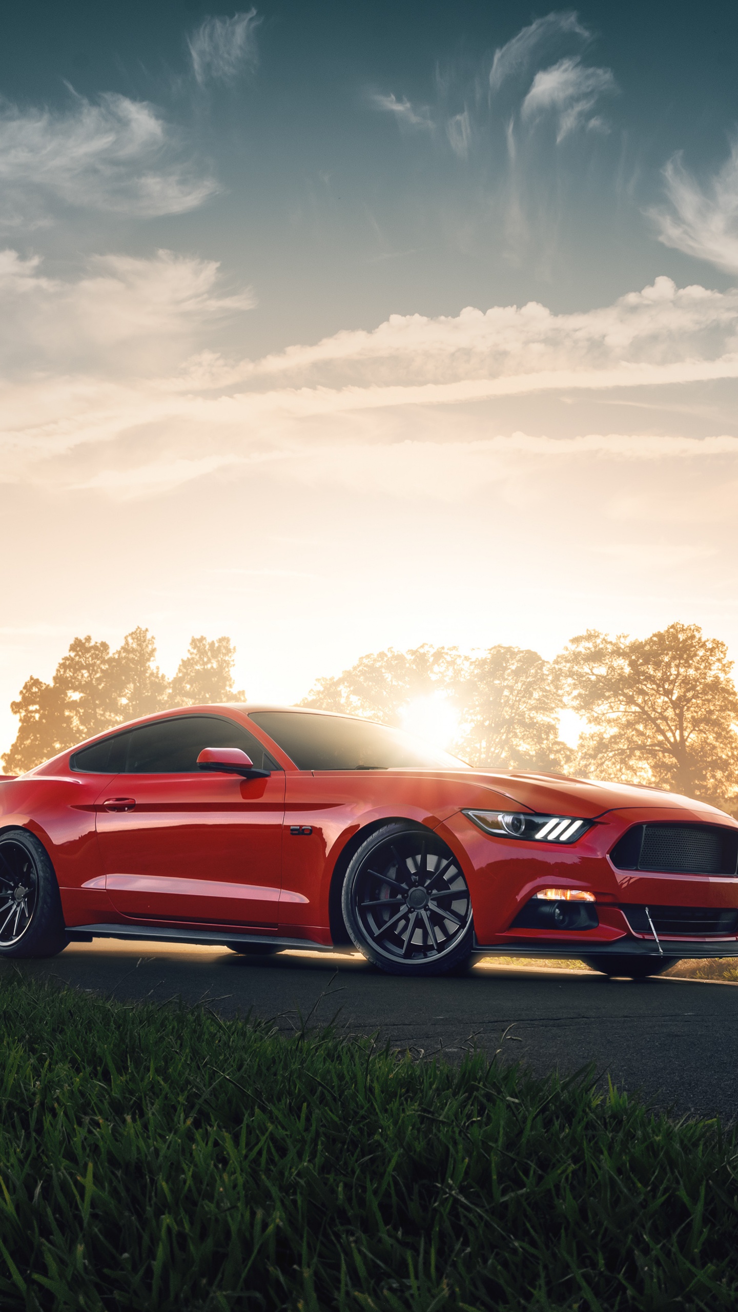 Обои небо, ford, ford gt, авто, Элеонора в разрешении 1440x2560